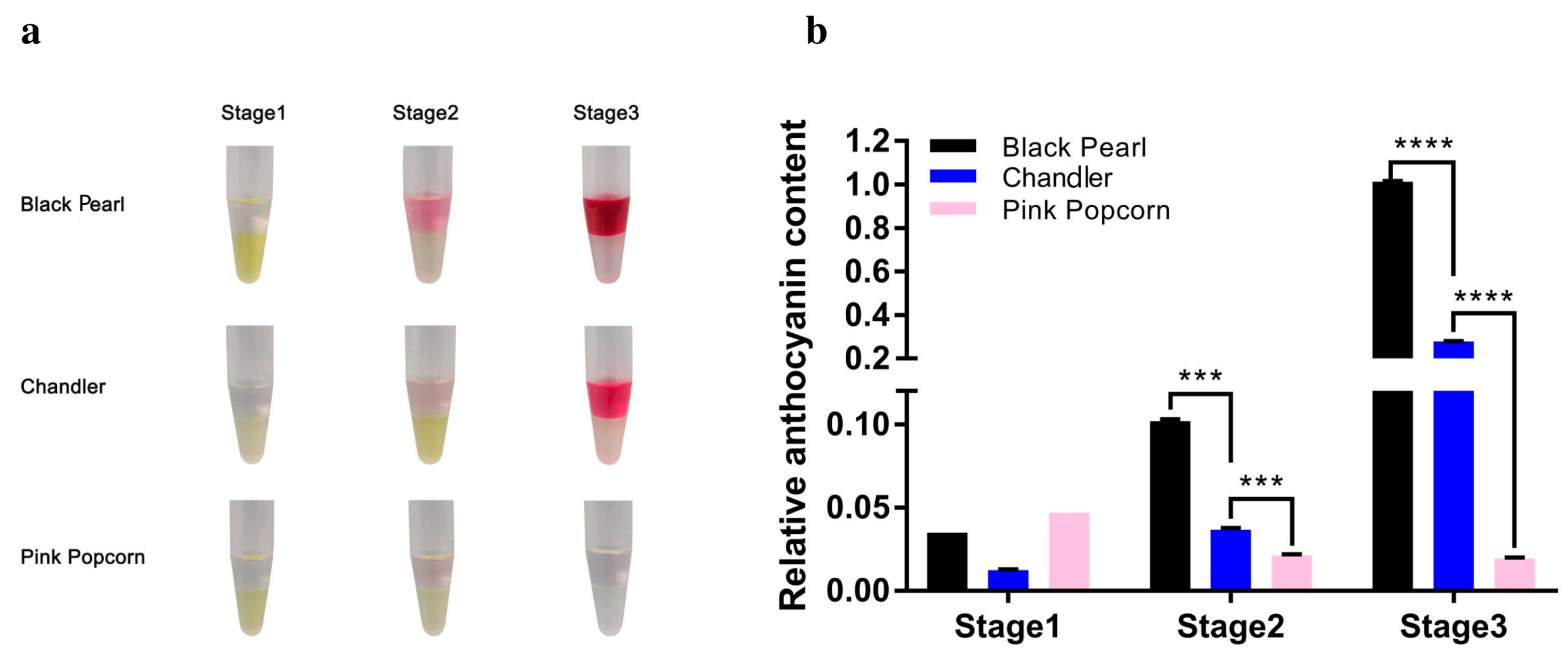 Horticulturae 10 00105 g002
