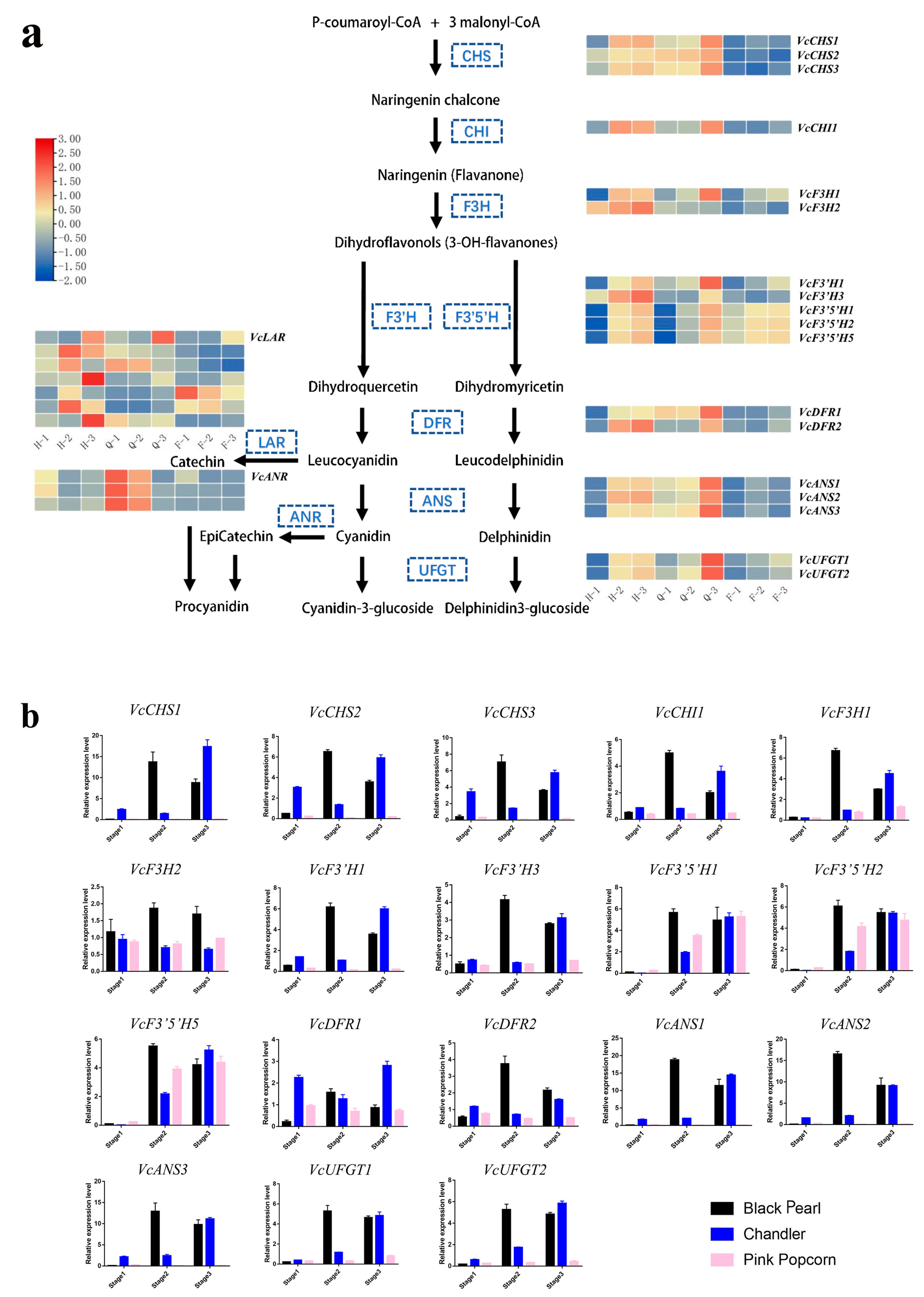Horticulturae 10 00105 g004
