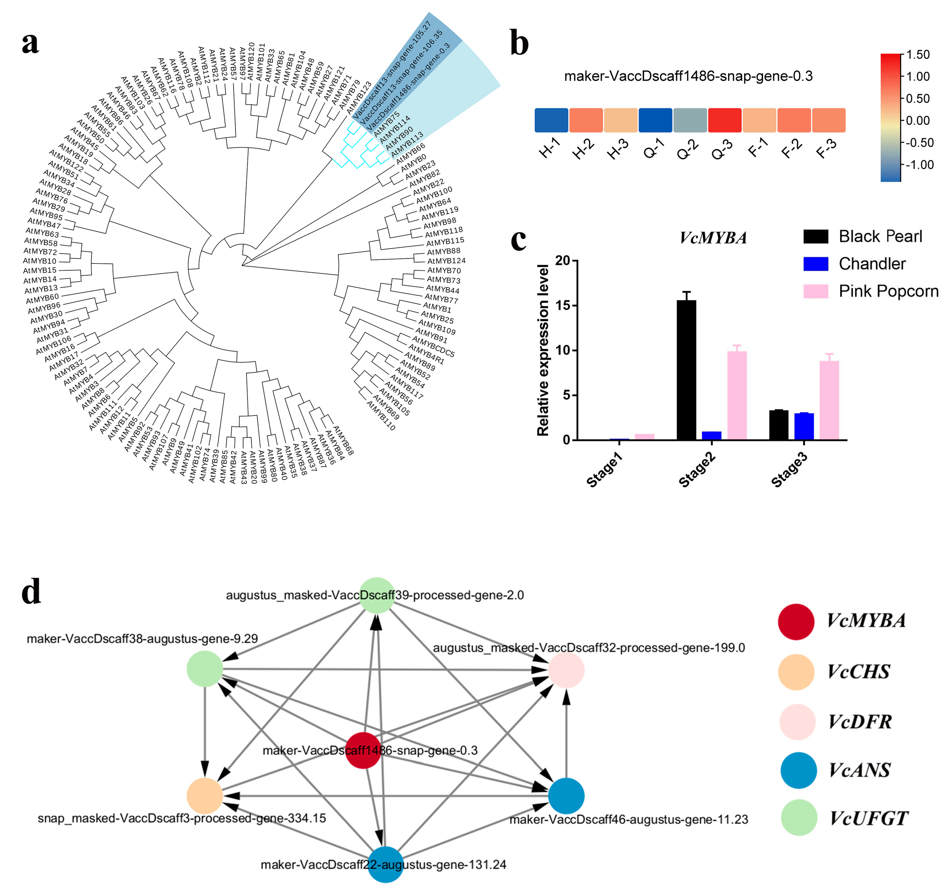 Horticulturae 10 00105 g005