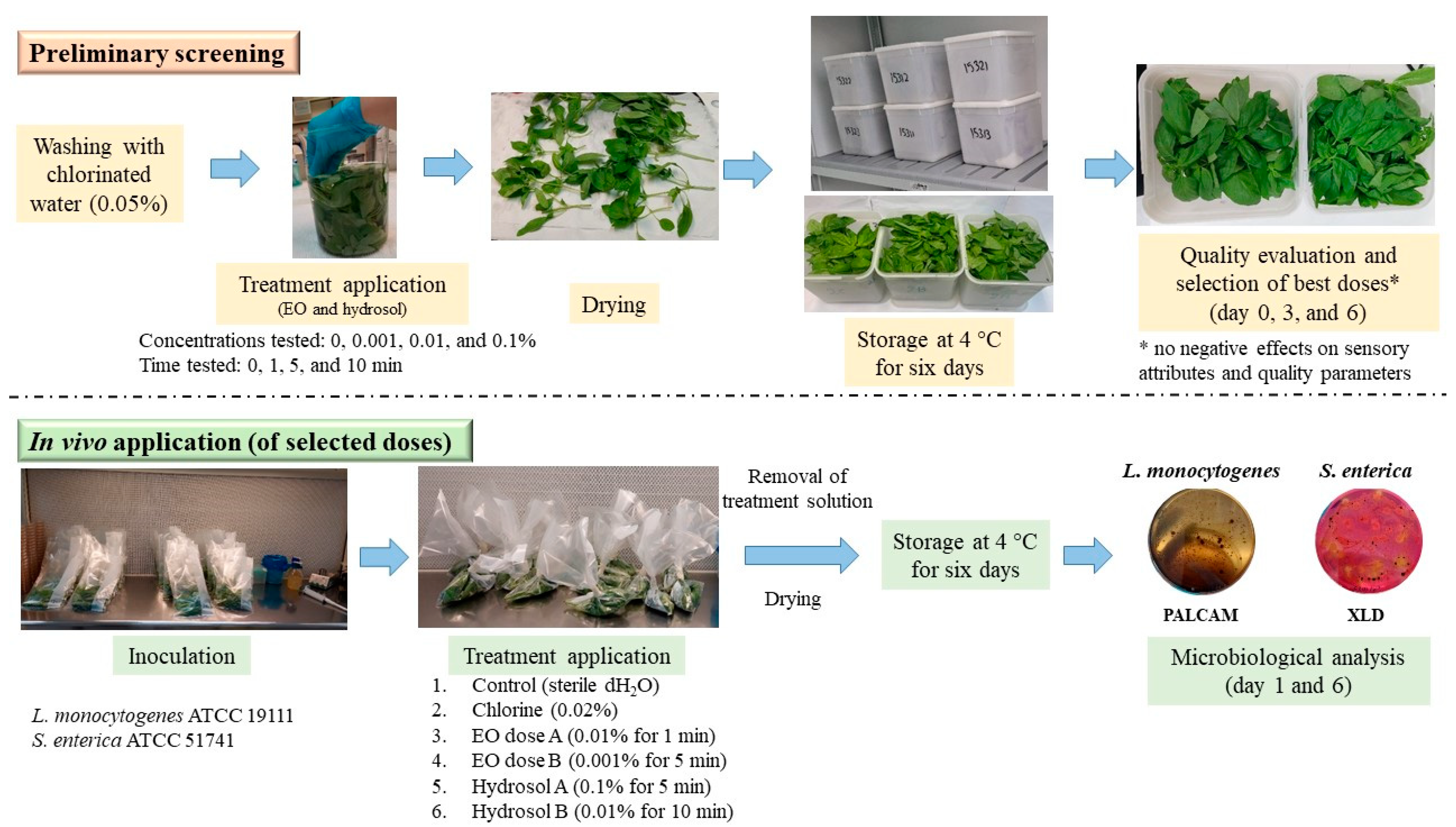 Horticulturae 10 00159 g001