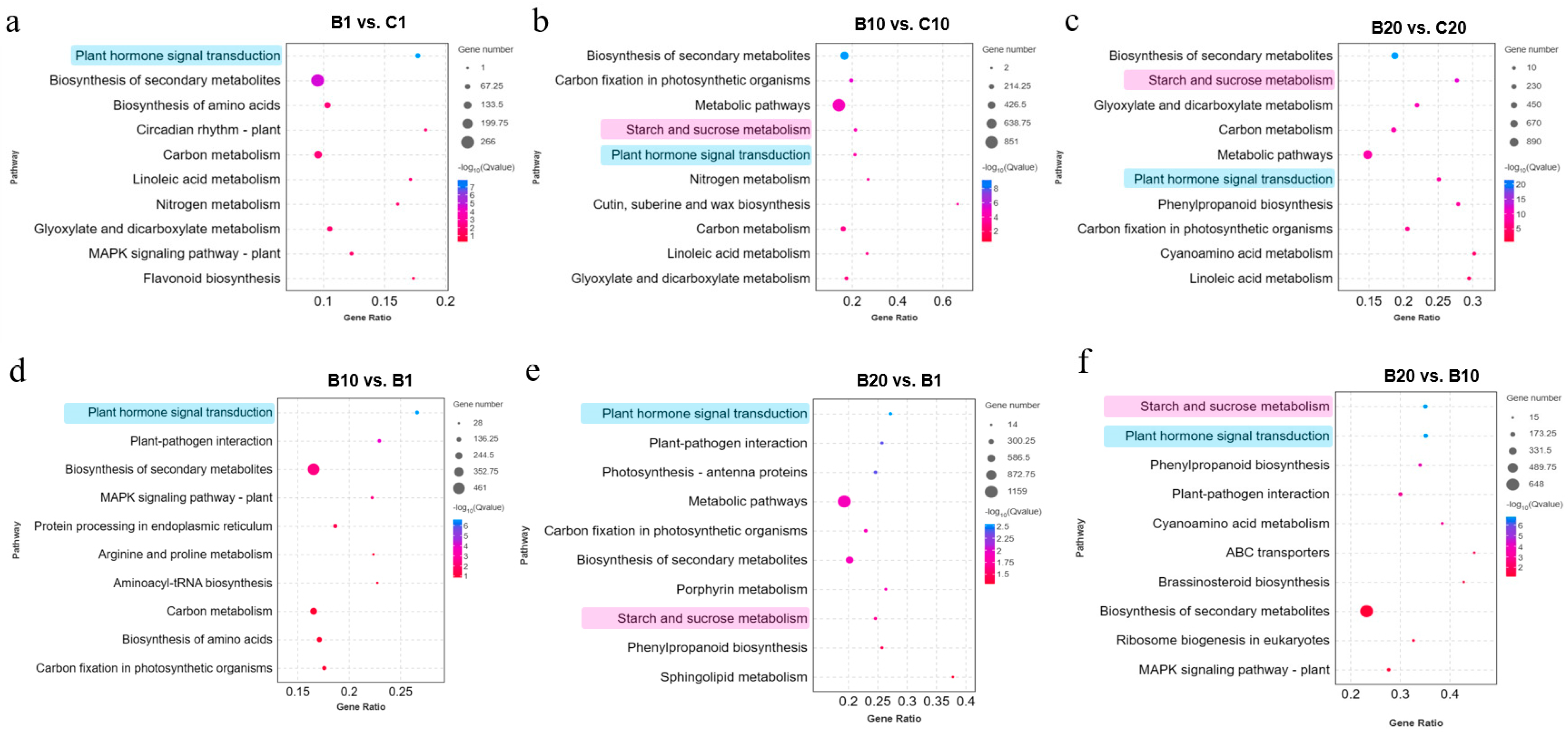 Horticulturae 10 00171 g002