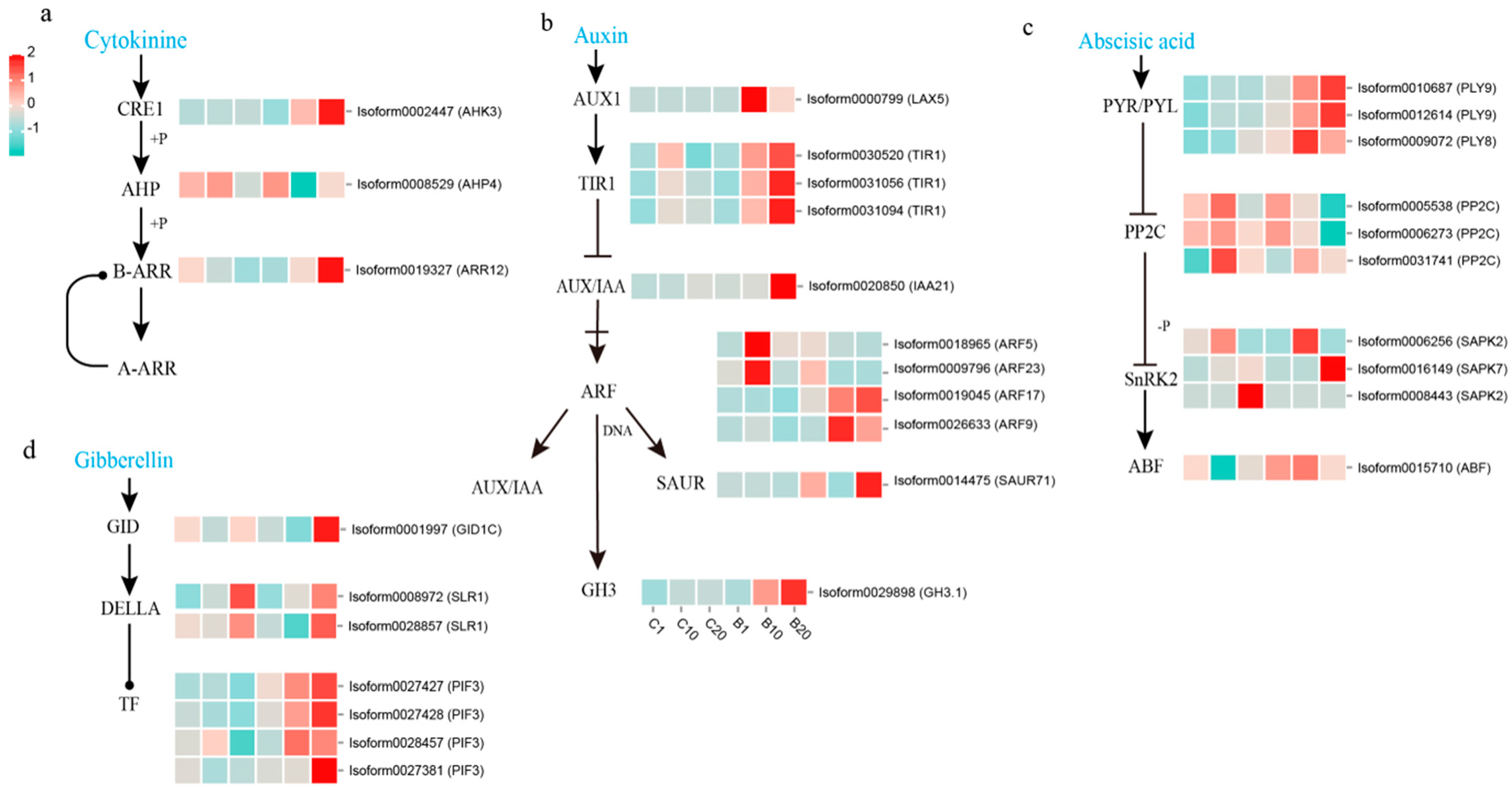 Horticulturae 10 00171 g004