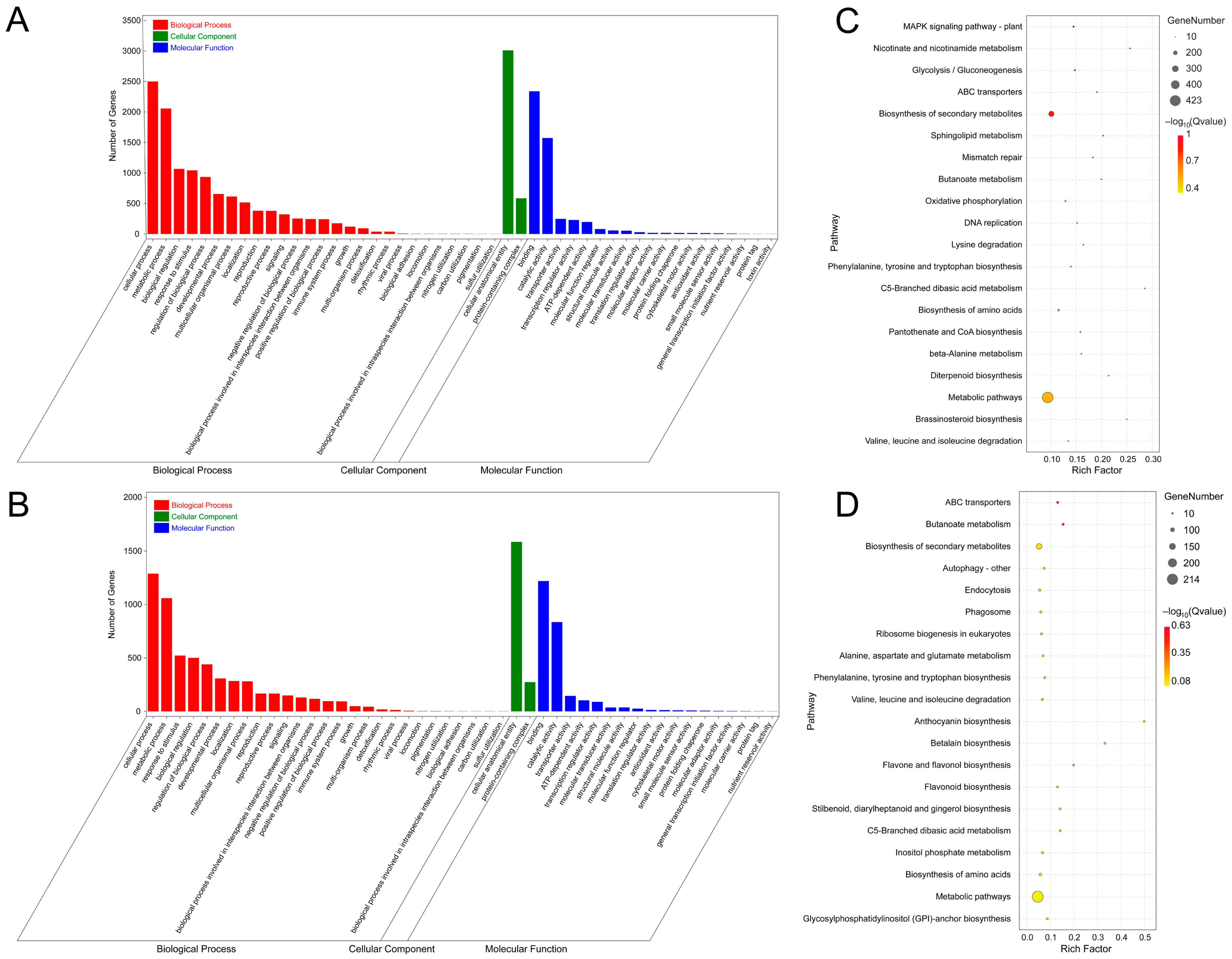 Horticulturae 10 00173 g003