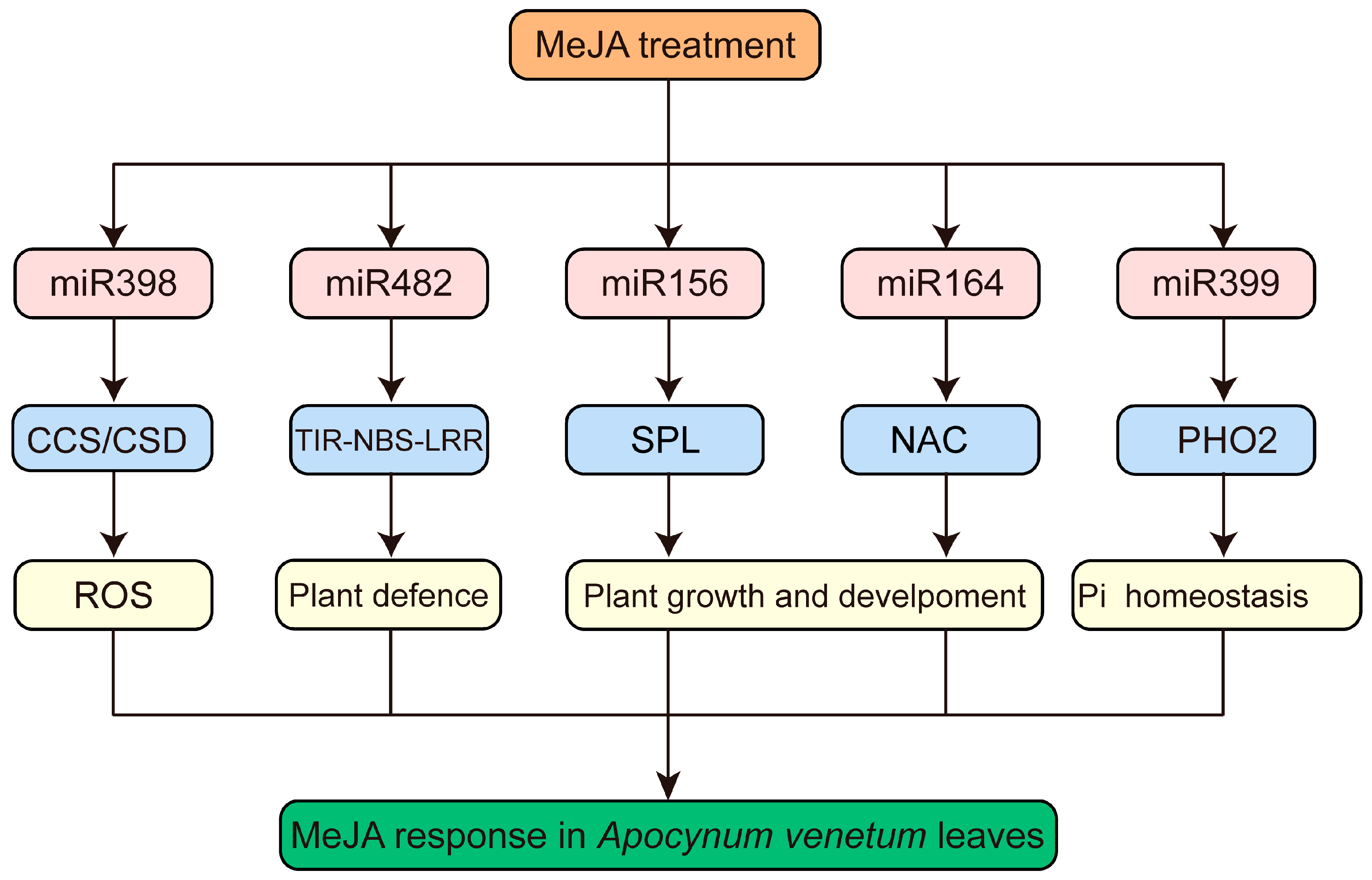Horticulturae 10 00173 g008