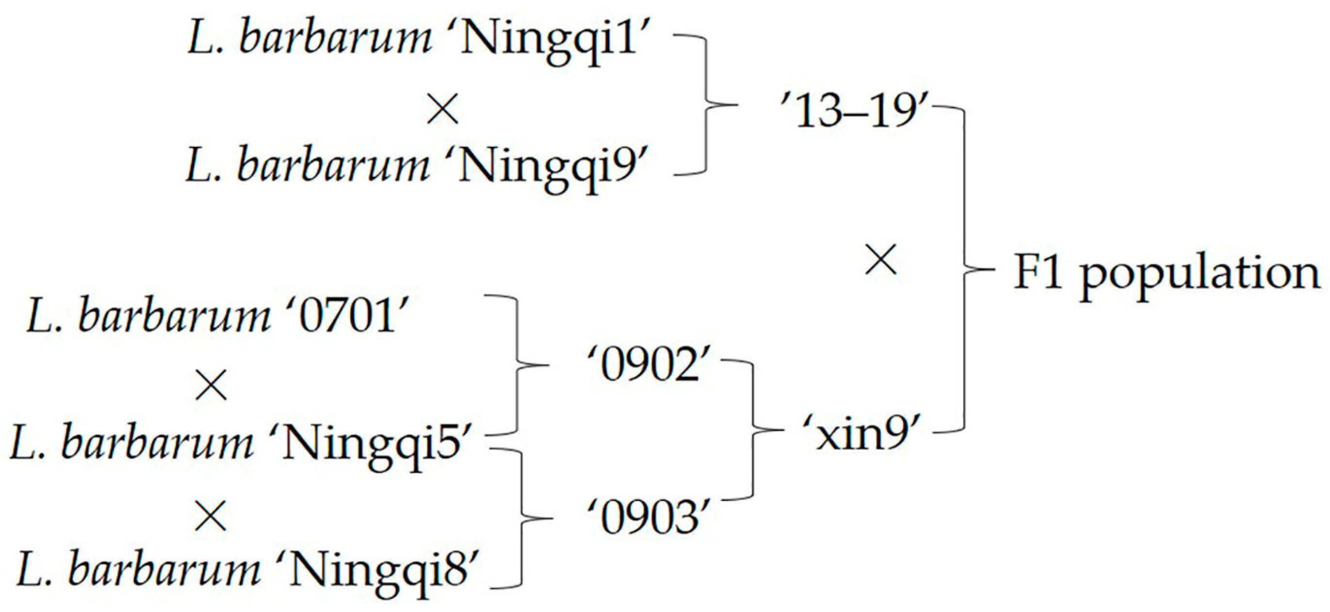 Horticulturae 10 00190 g001