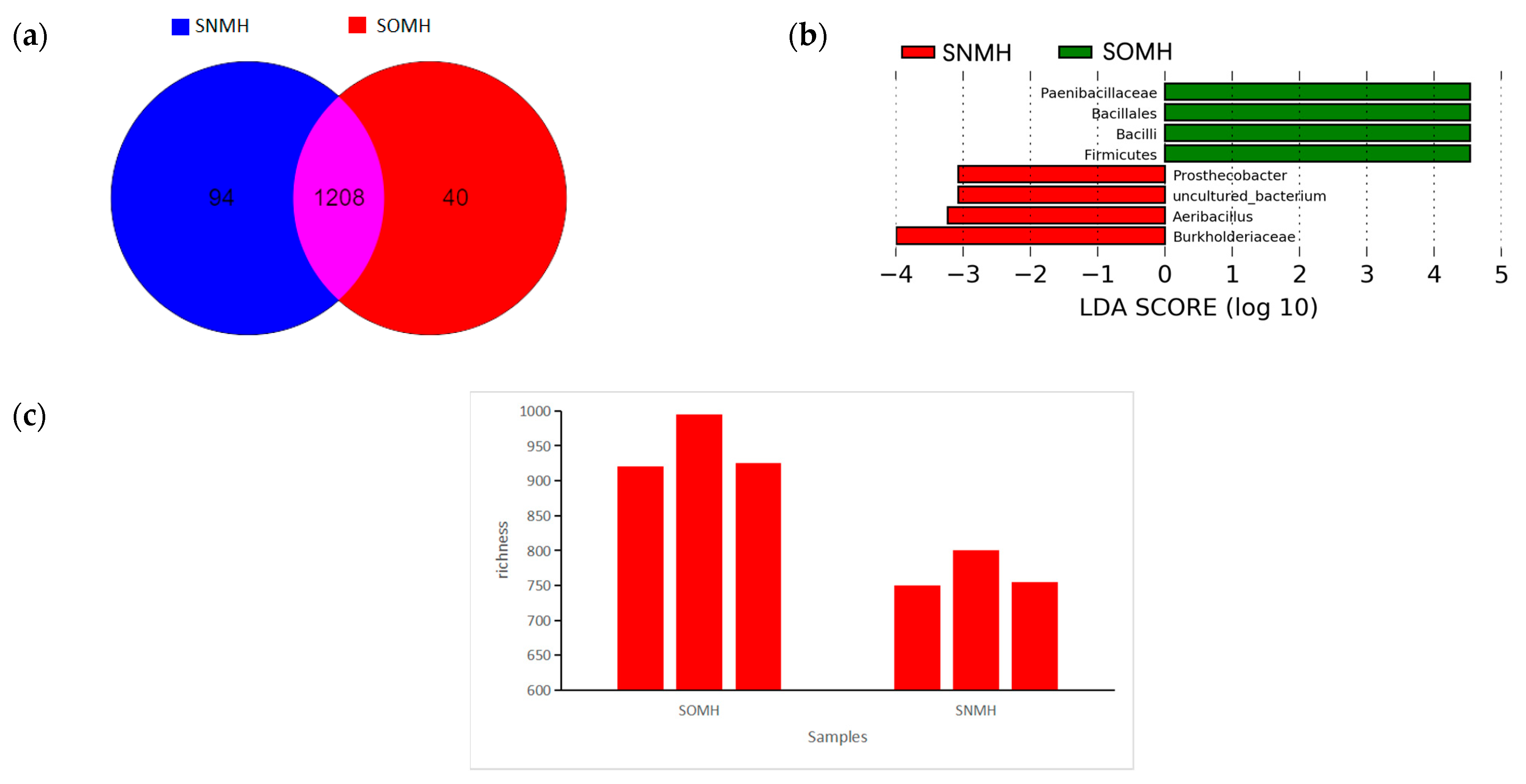Horticulturae 10 00204 g006