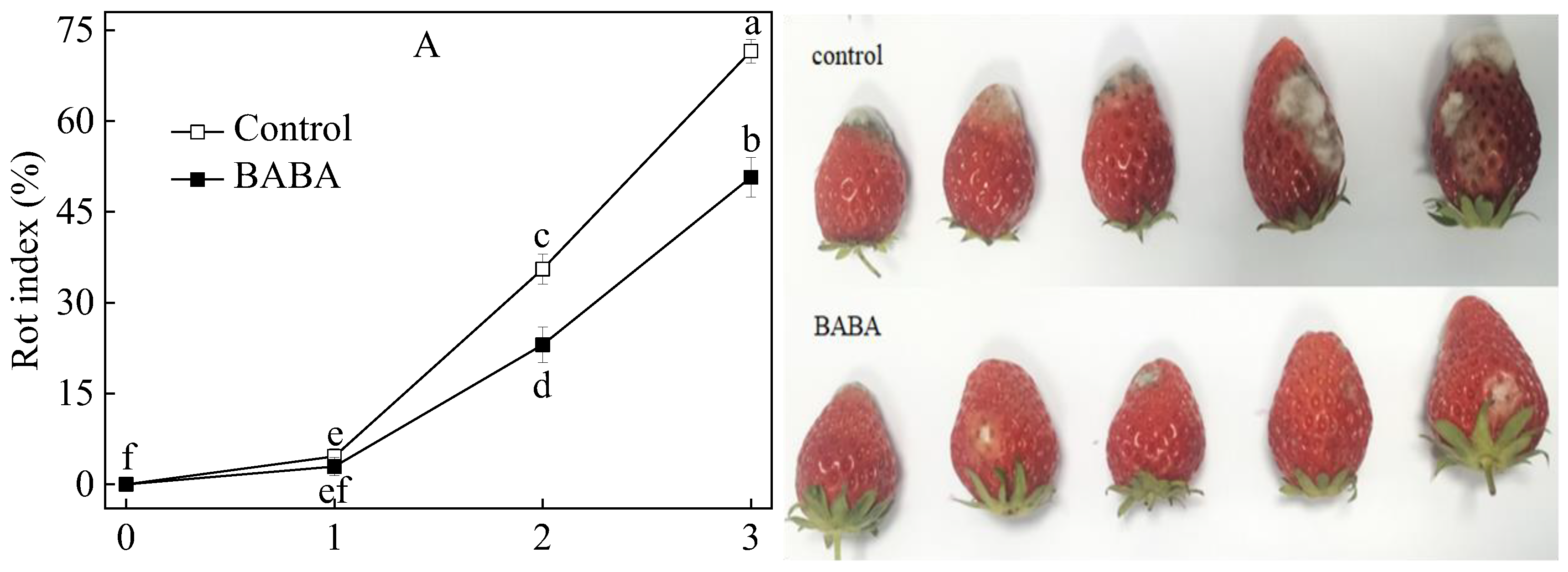 Horticulturae 10 00218 g001a Horticulturae 10 00218 g001a