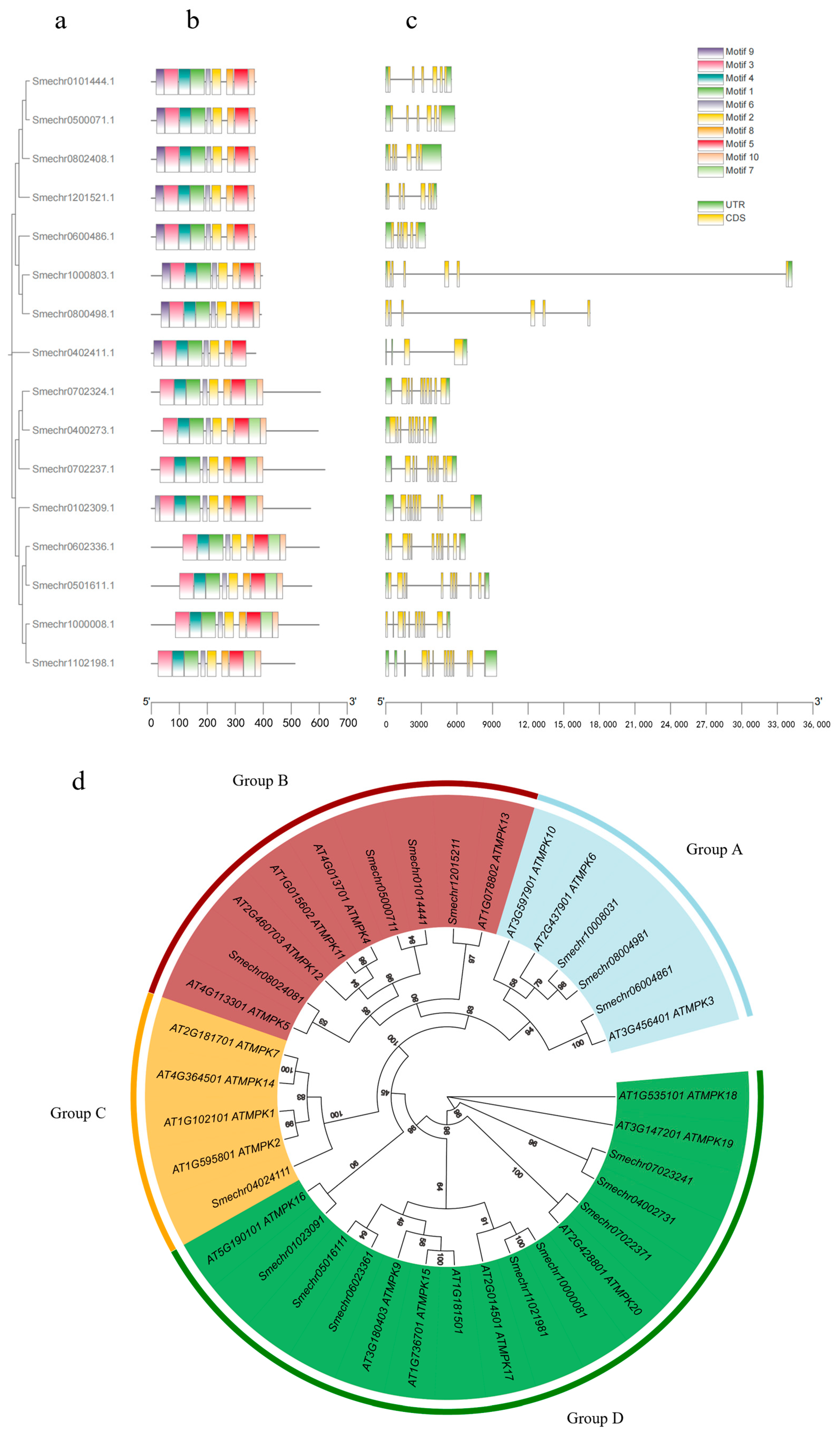 Horticulturae 10 00239 g001