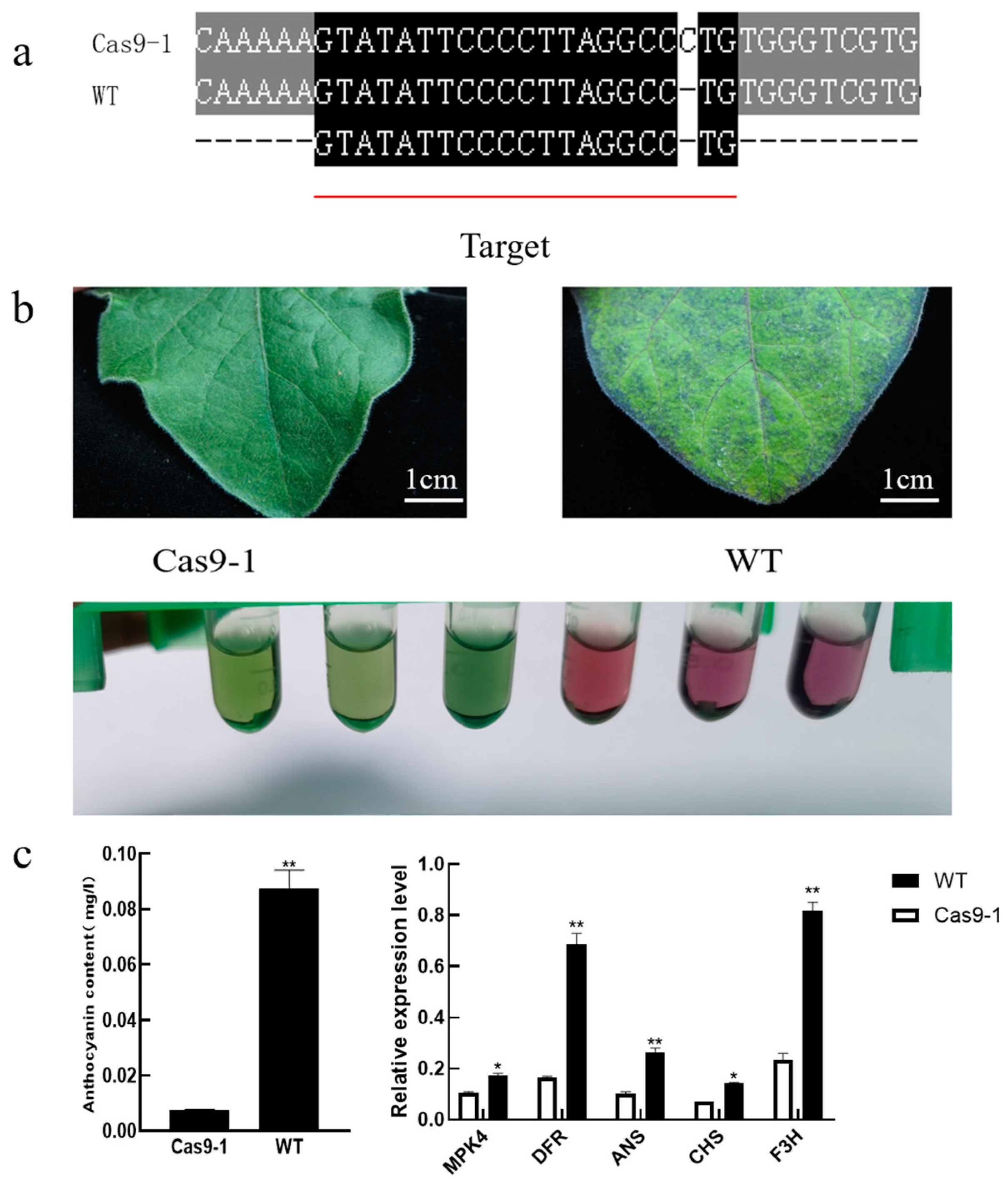 Horticulturae 10 00239 g007