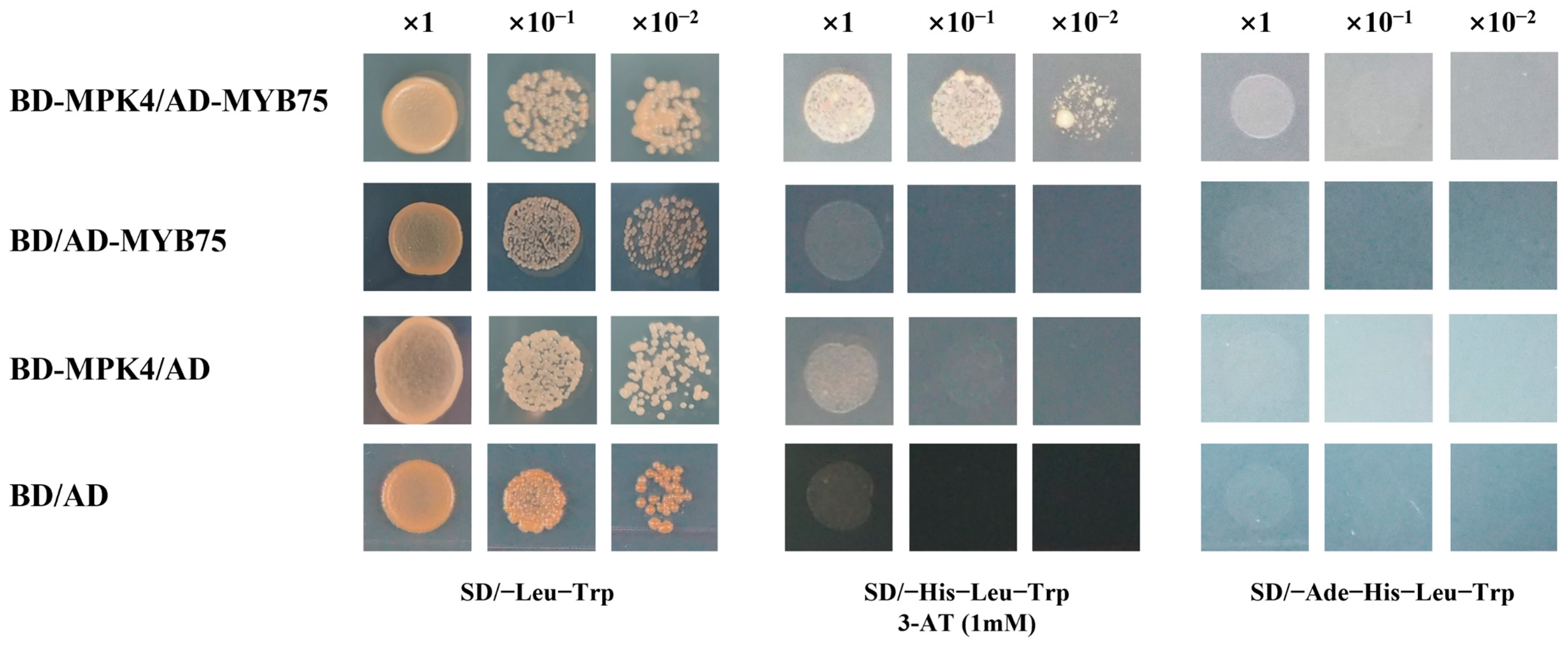 Horticulturae 10 00239 g008