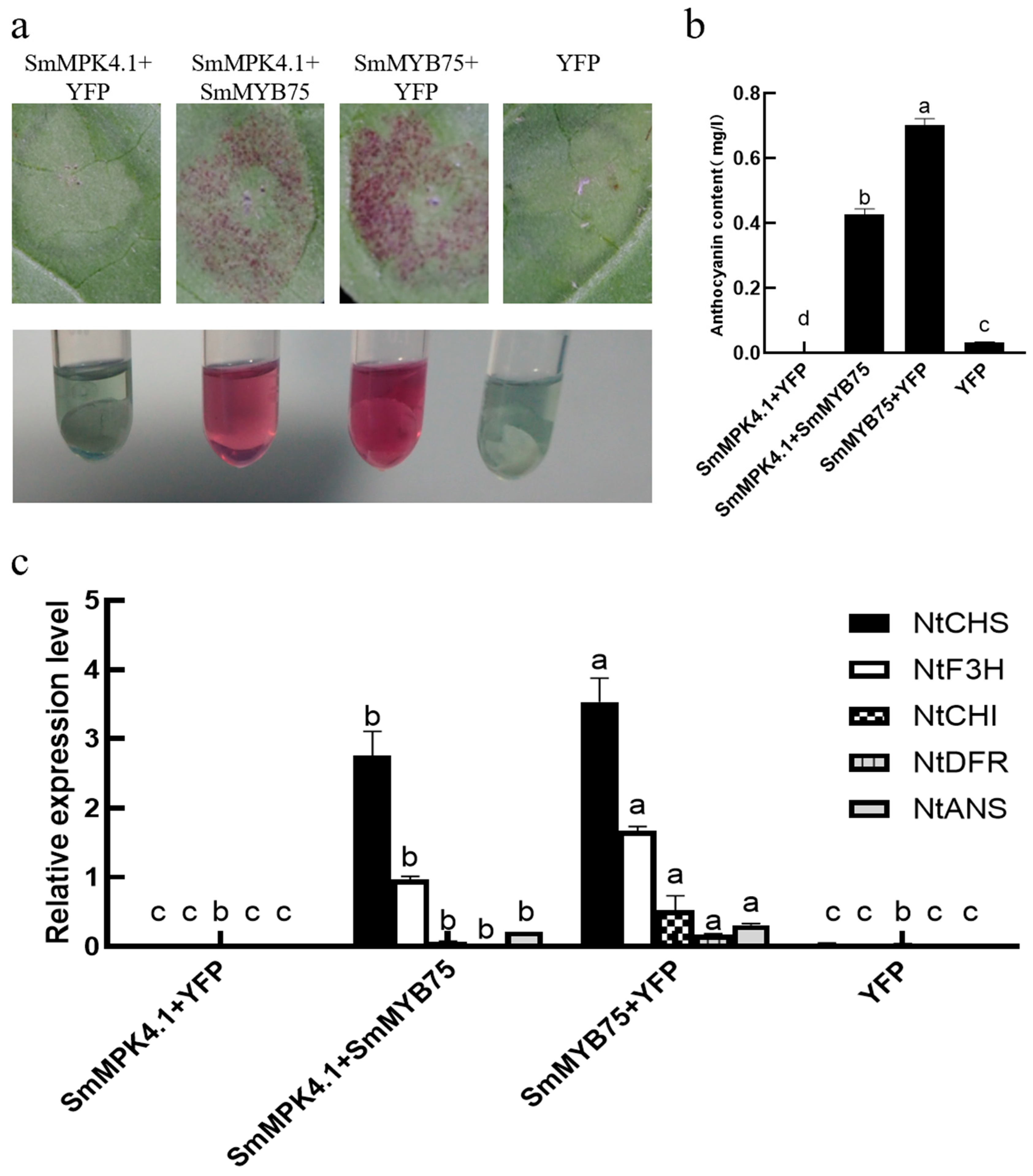Horticulturae 10 00239 g009