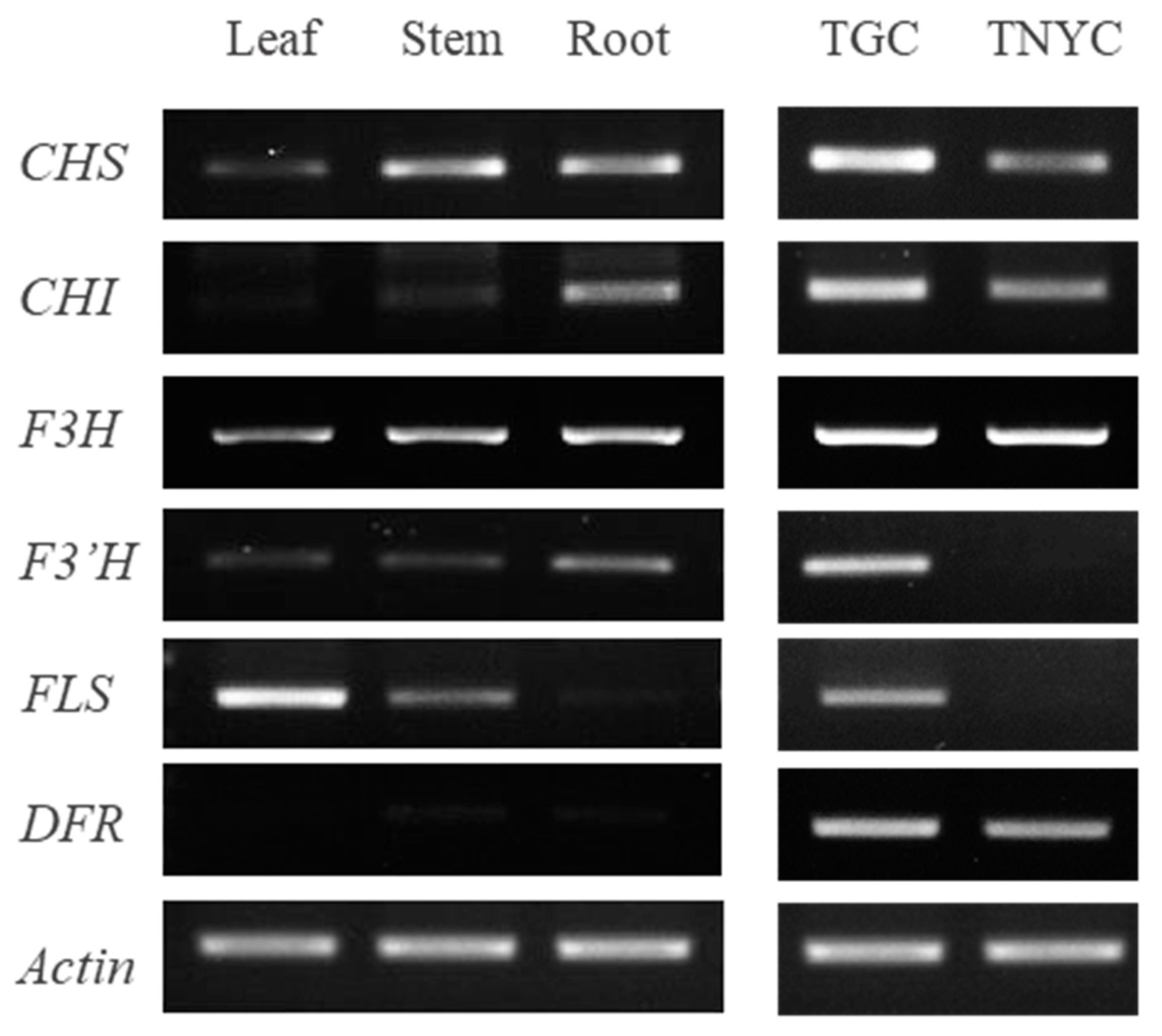 Horticulturae 10 00244 g004