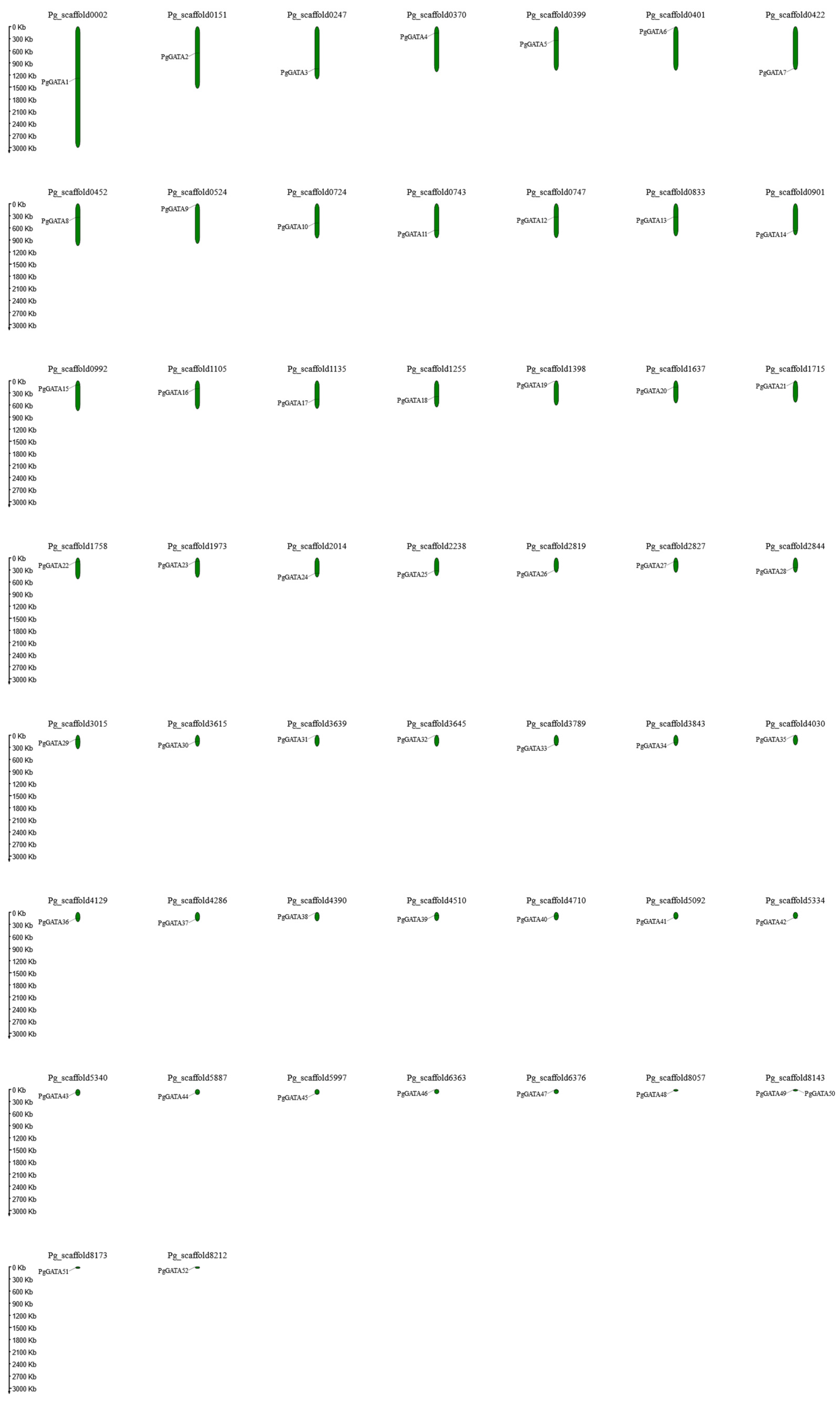 Horticulturae 10 00282 g001