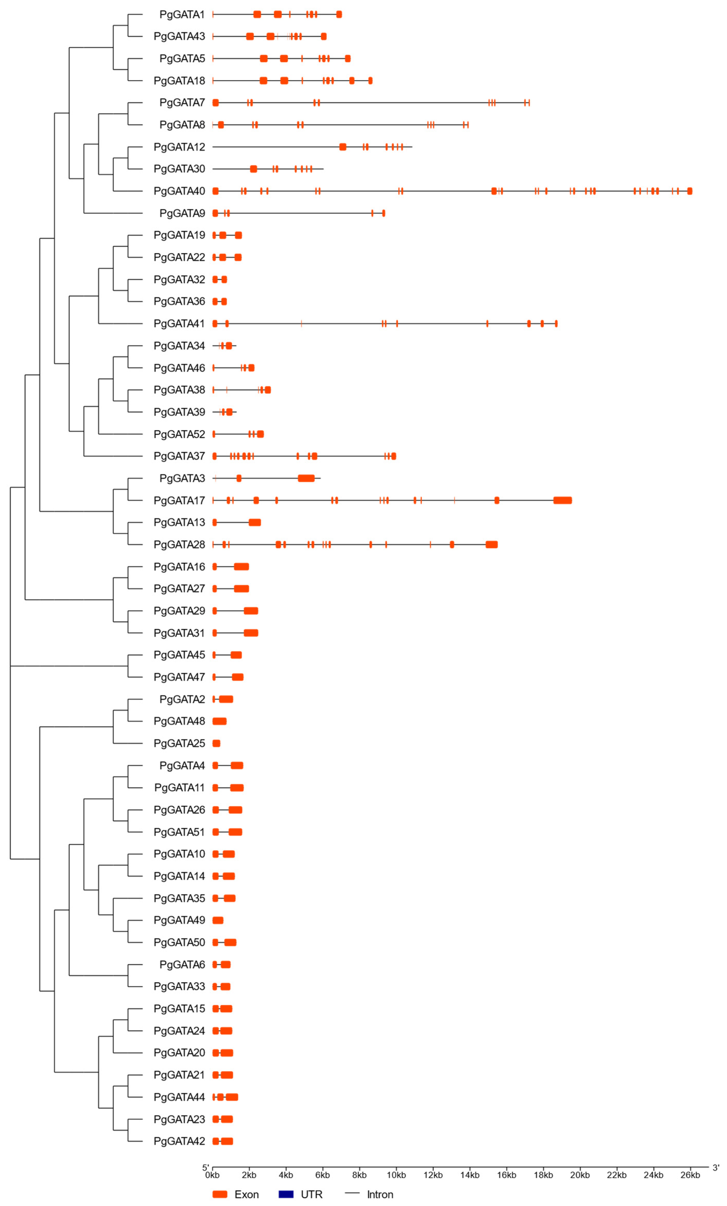 Horticulturae 10 00282 g002