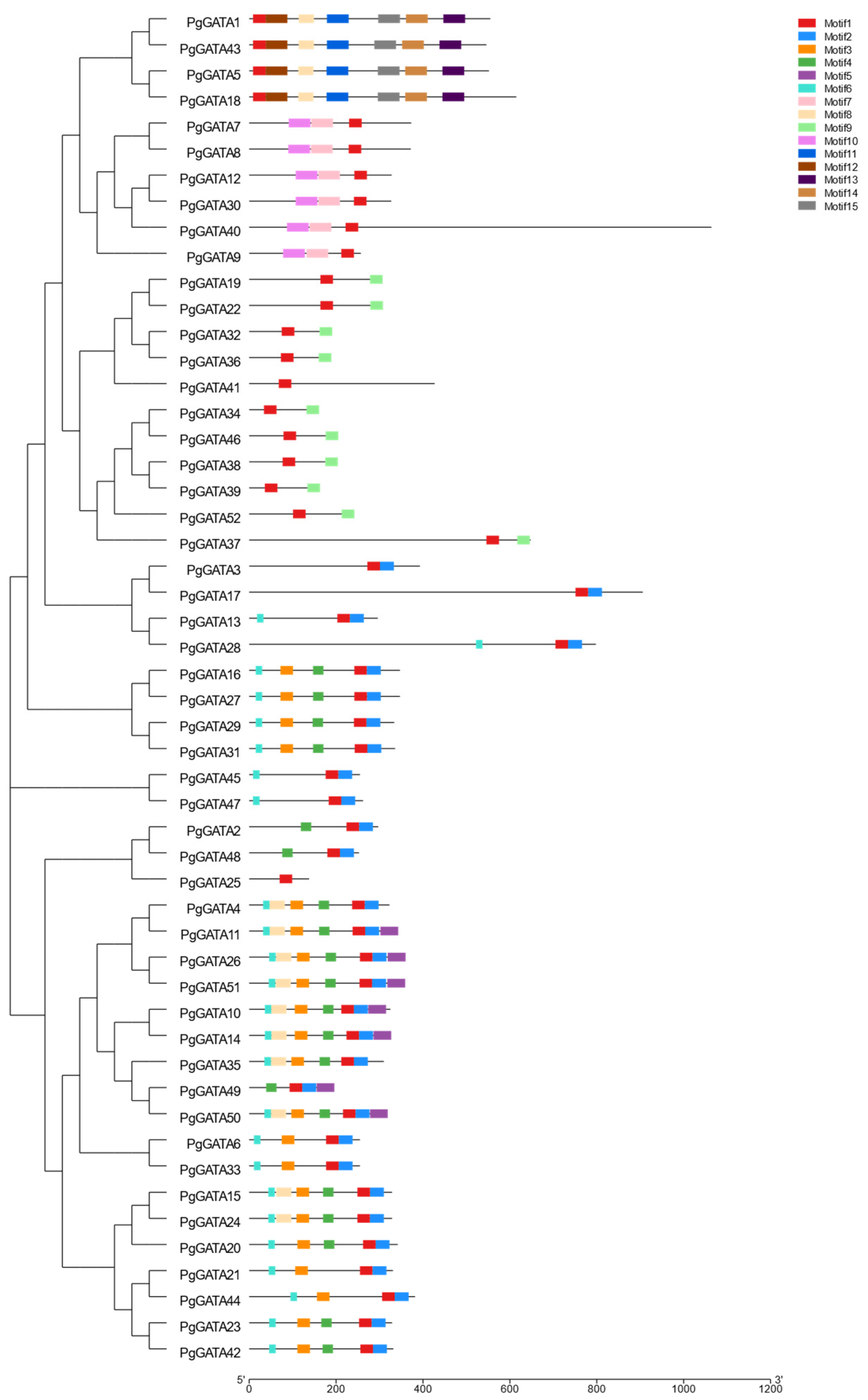 Horticulturae 10 00282 g003