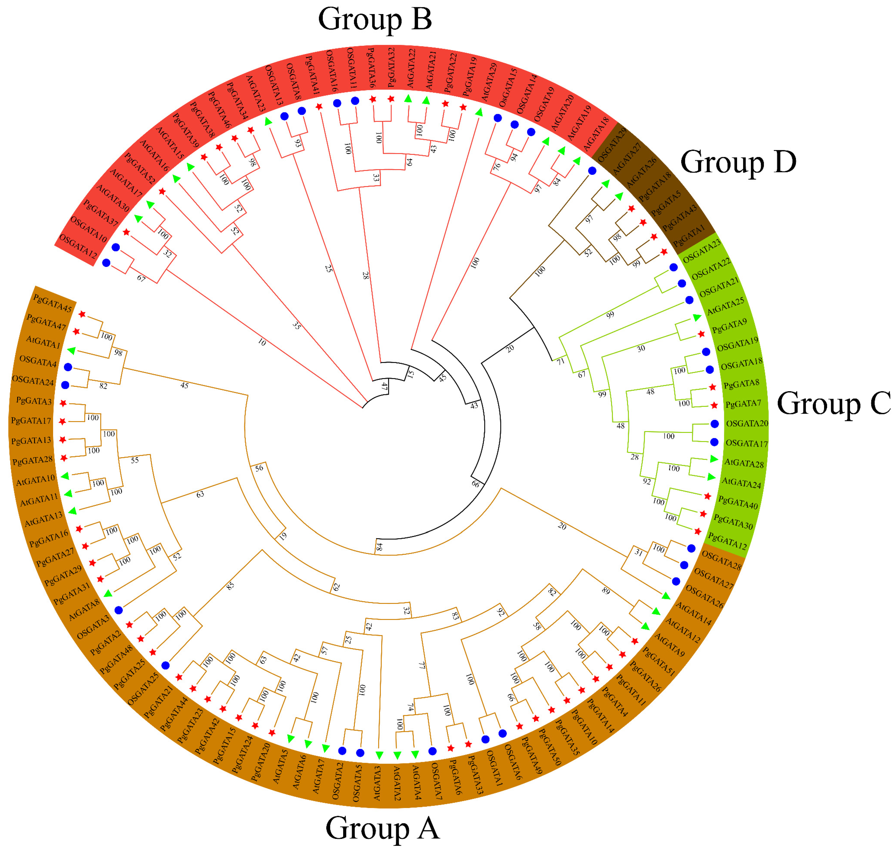 Horticulturae 10 00282 g005