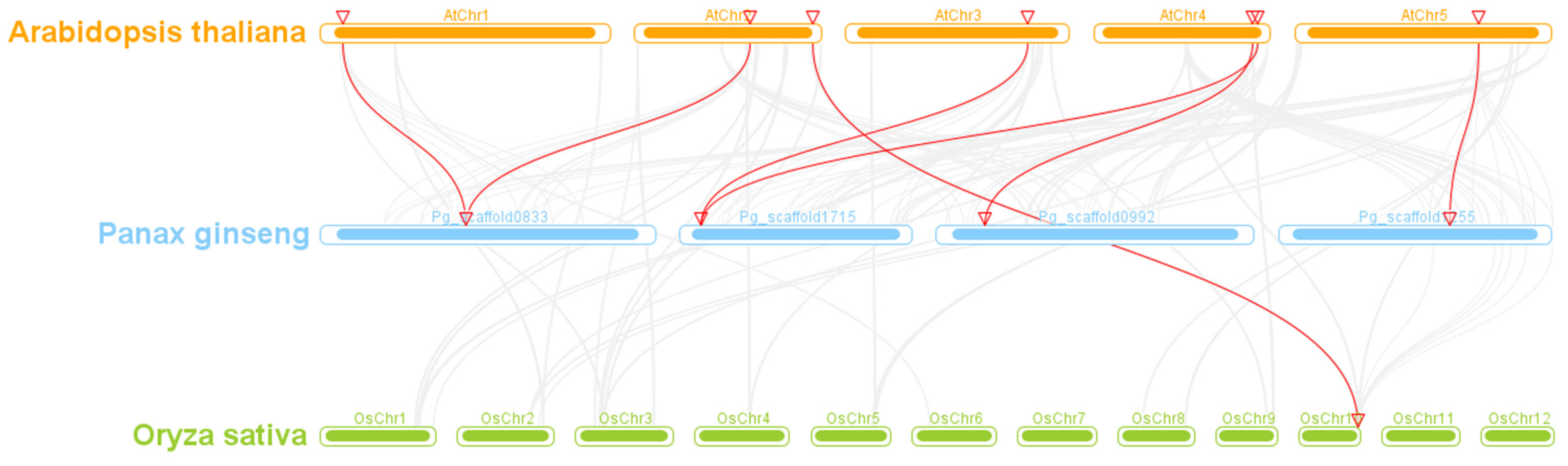 Horticulturae 10 00282 g007