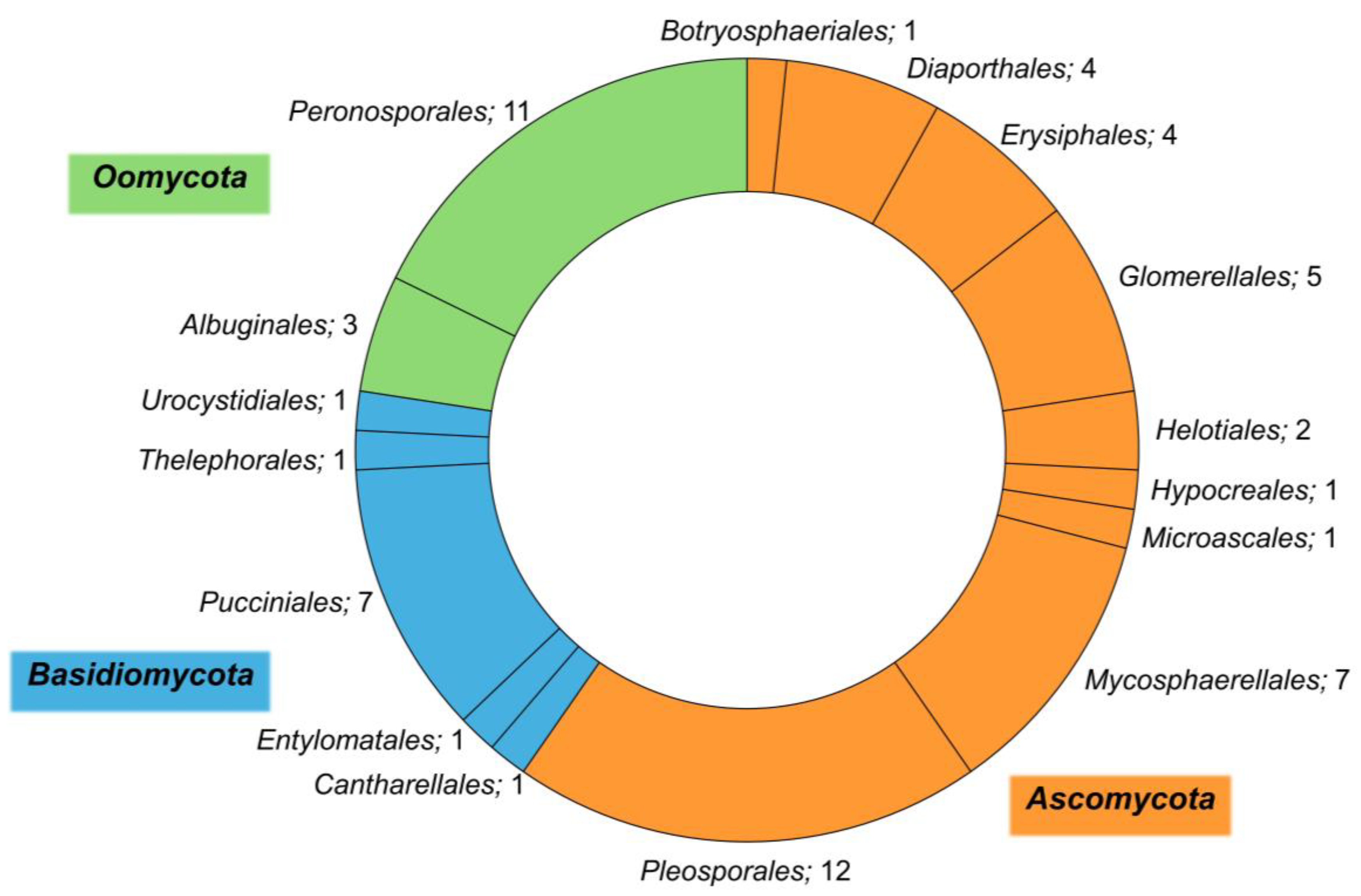 Horticulturae 10 00313 g002