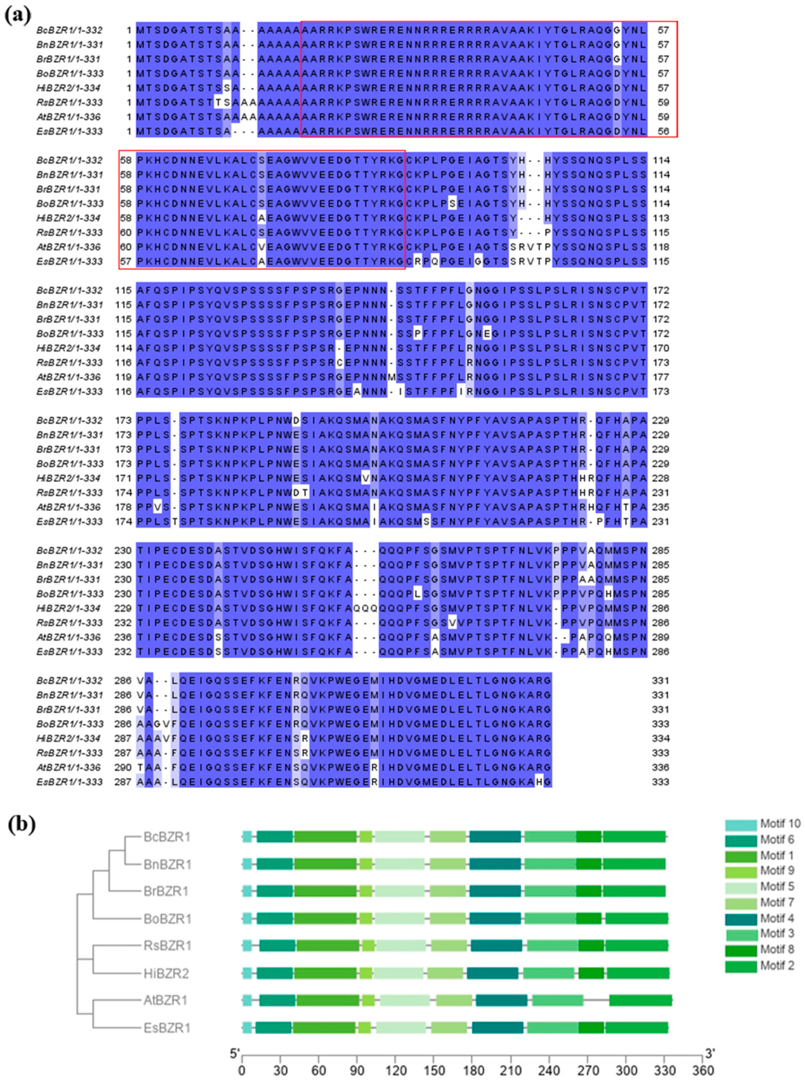 Horticulturae 10 00324 g001
