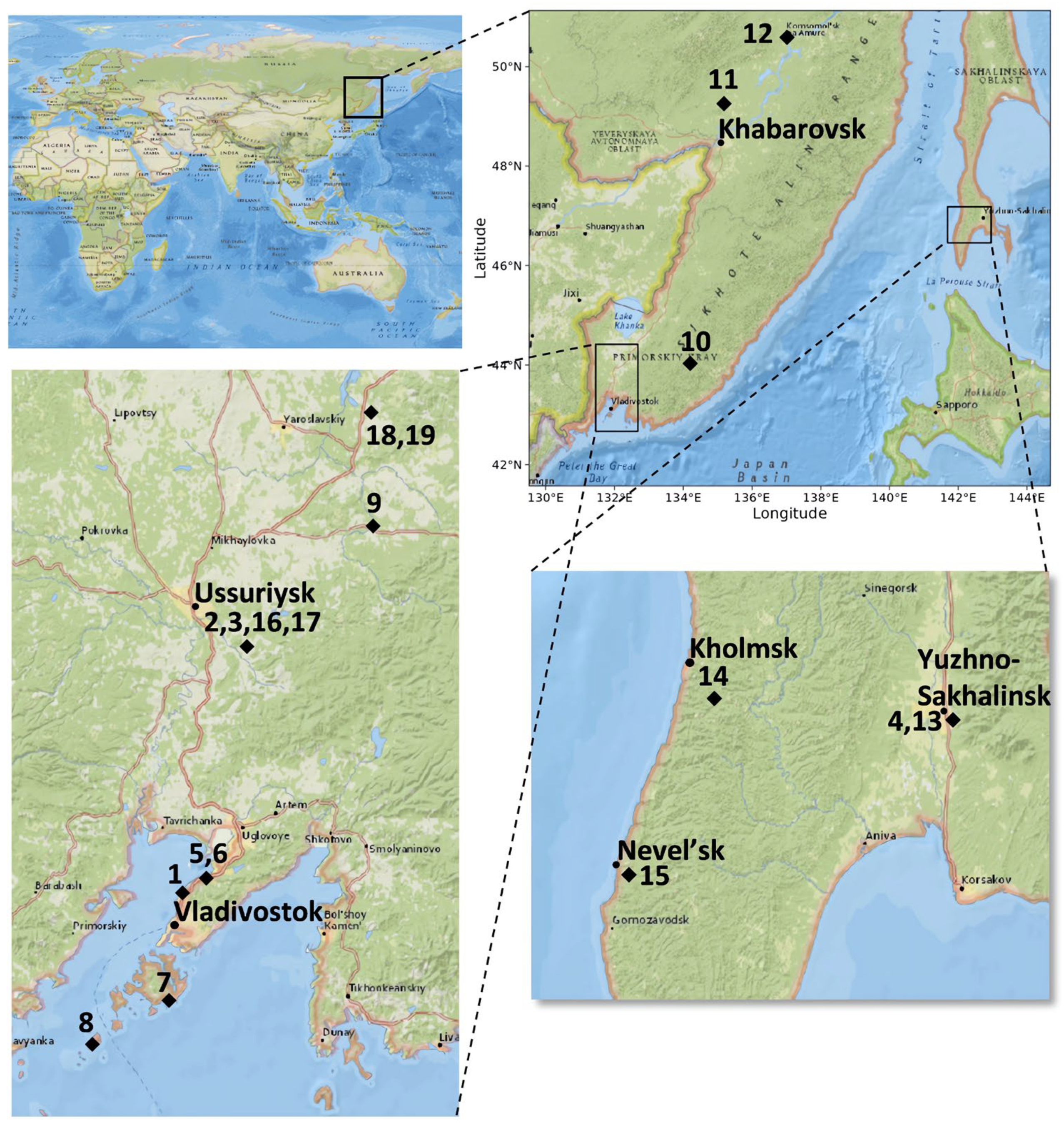 Horticulturae 10 00326 g001