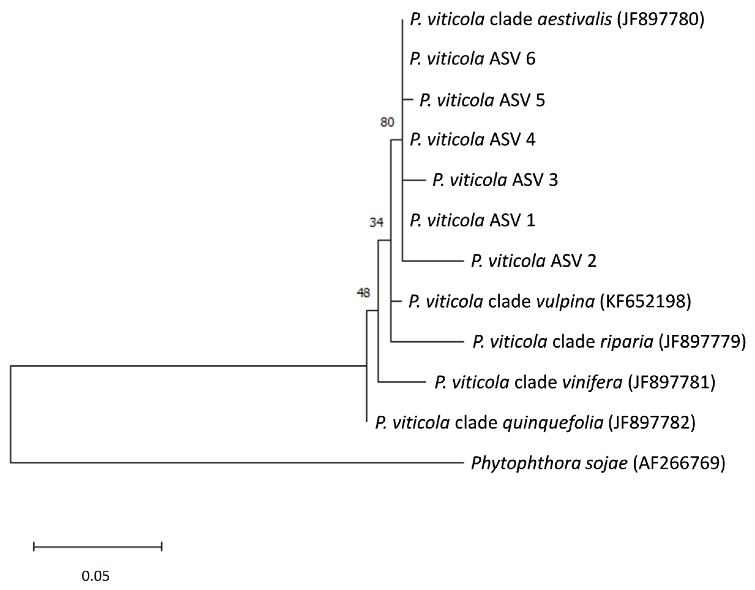 Horticulturae 10 00326 g003