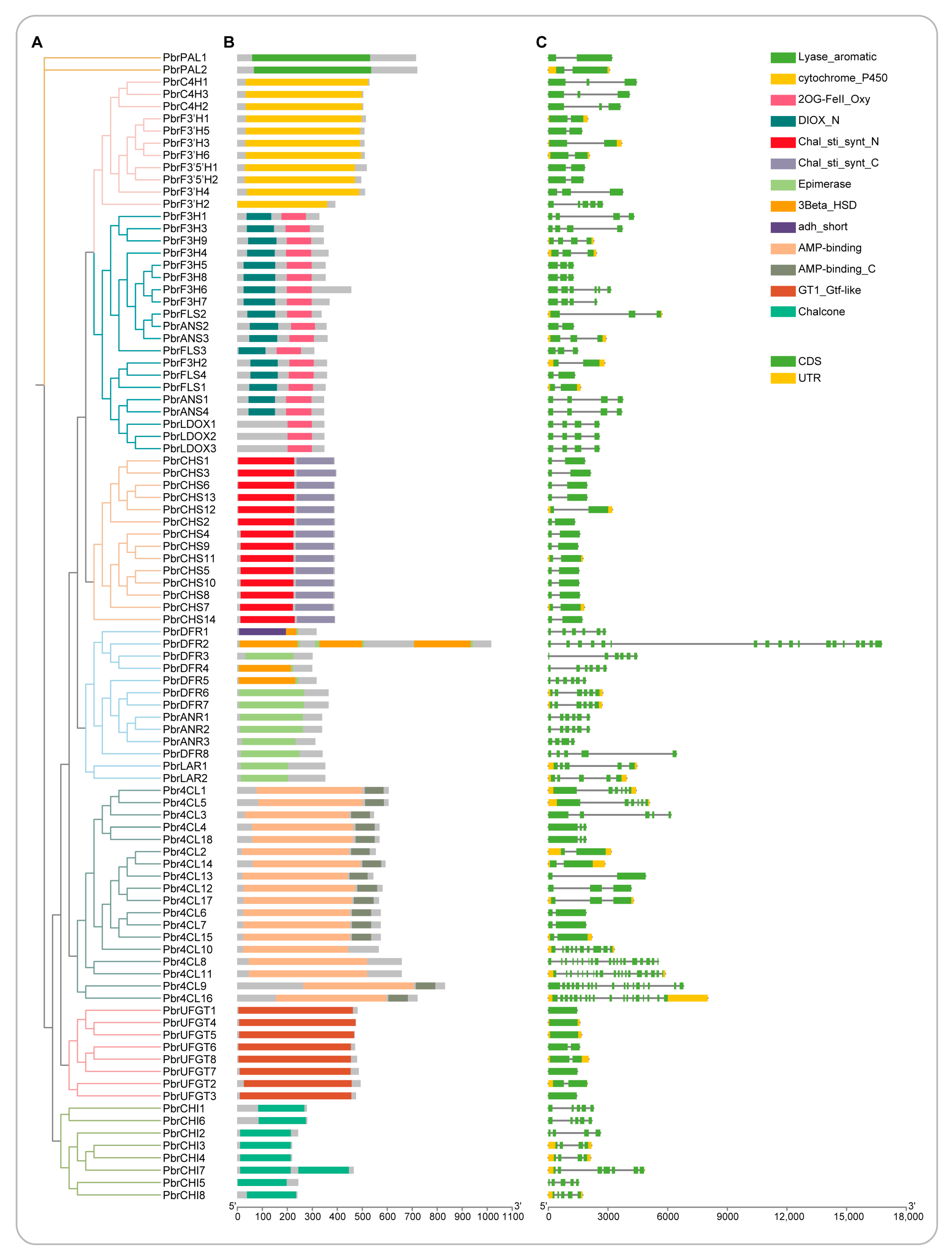 Horticulturae 10 00335 g003