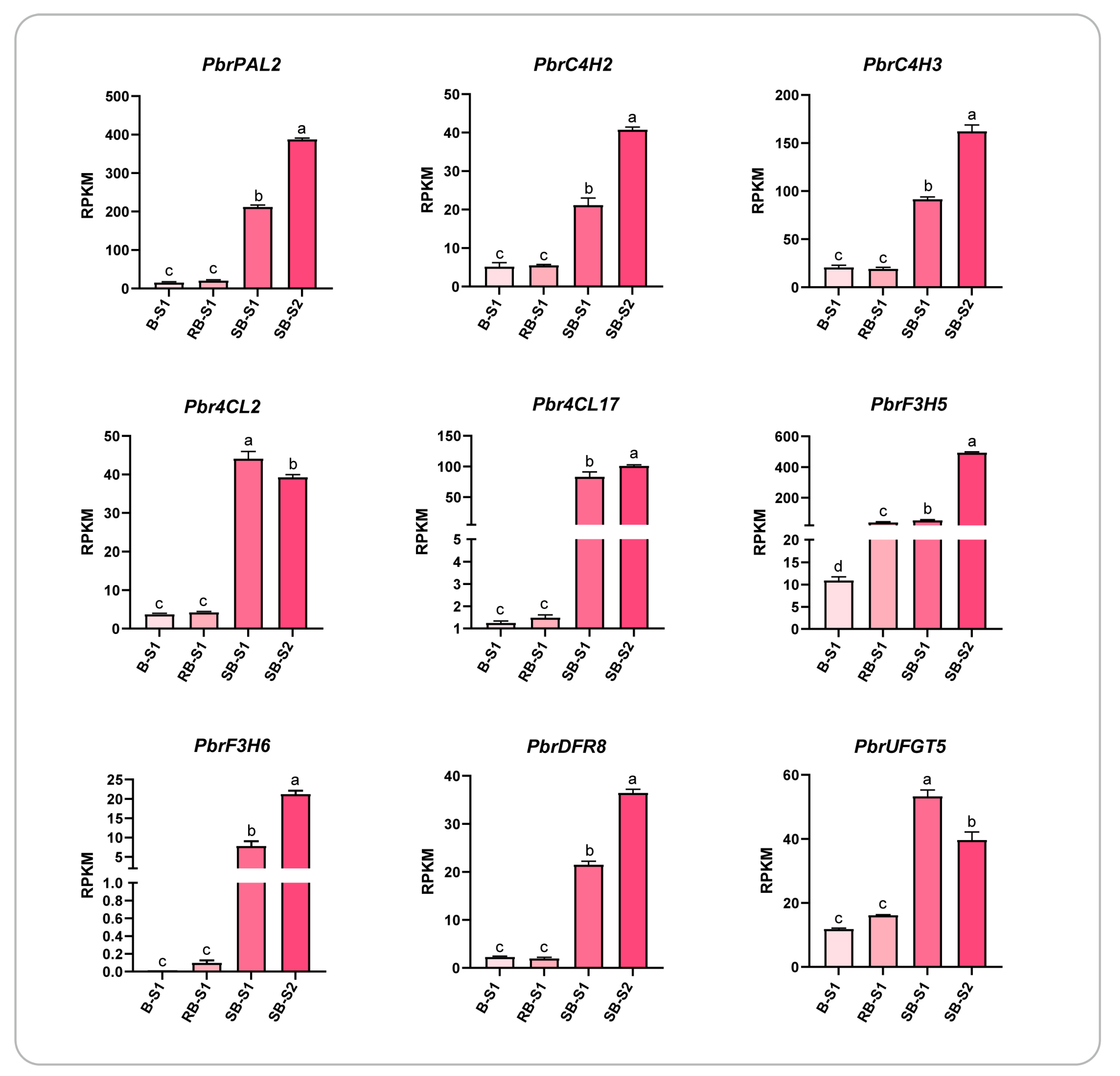 Horticulturae 10 00335 g007