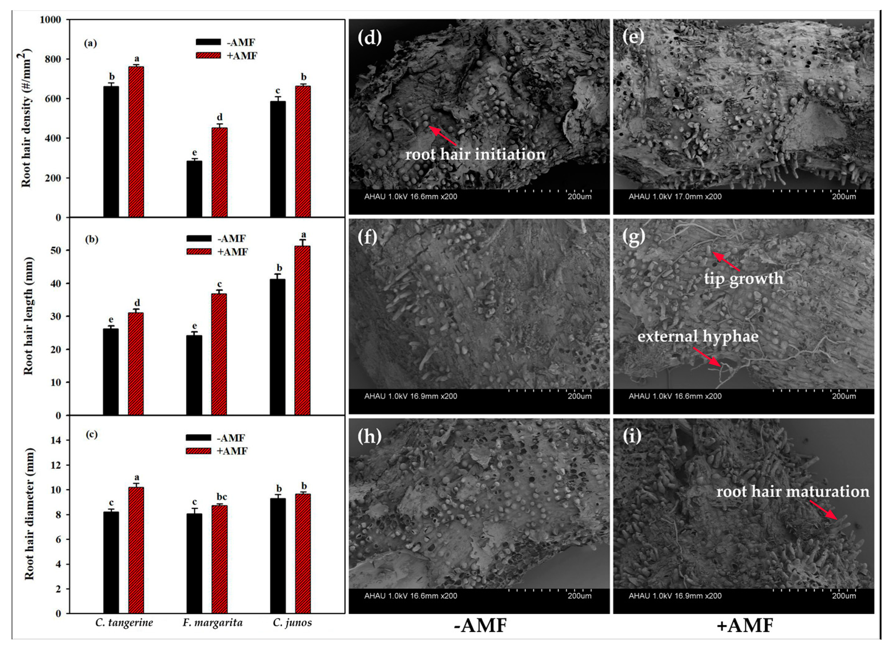Horticulturae 10 00339 g002 Horticulturae 10 00339 g002