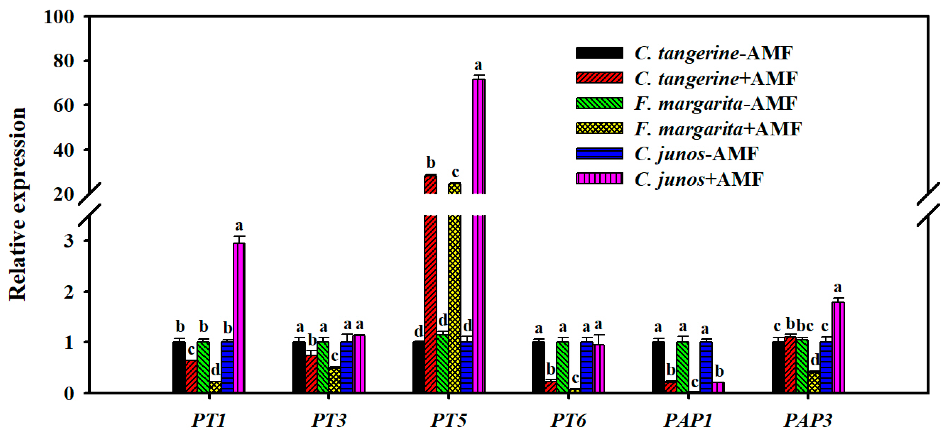 Horticulturae 10 00339 g006 Horticulturae 10 00339 g006