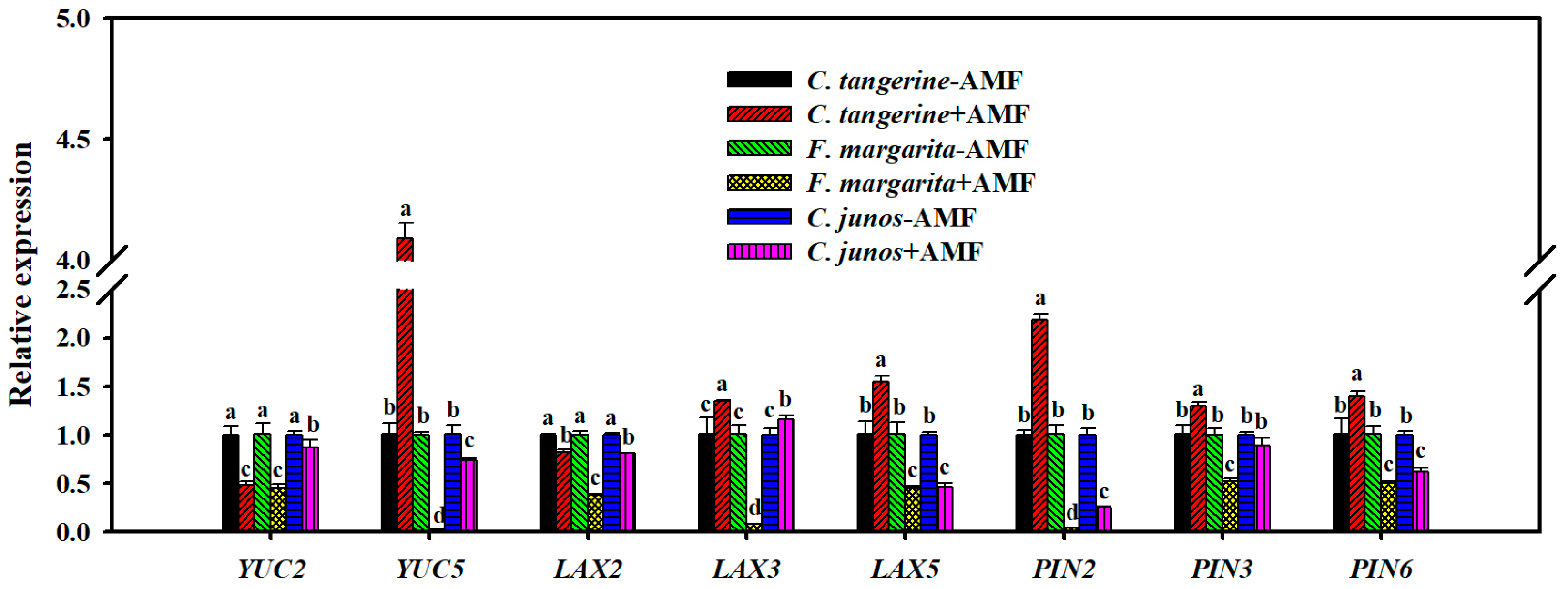 Horticulturae 10 00339 g007 Horticulturae 10 00339 g007