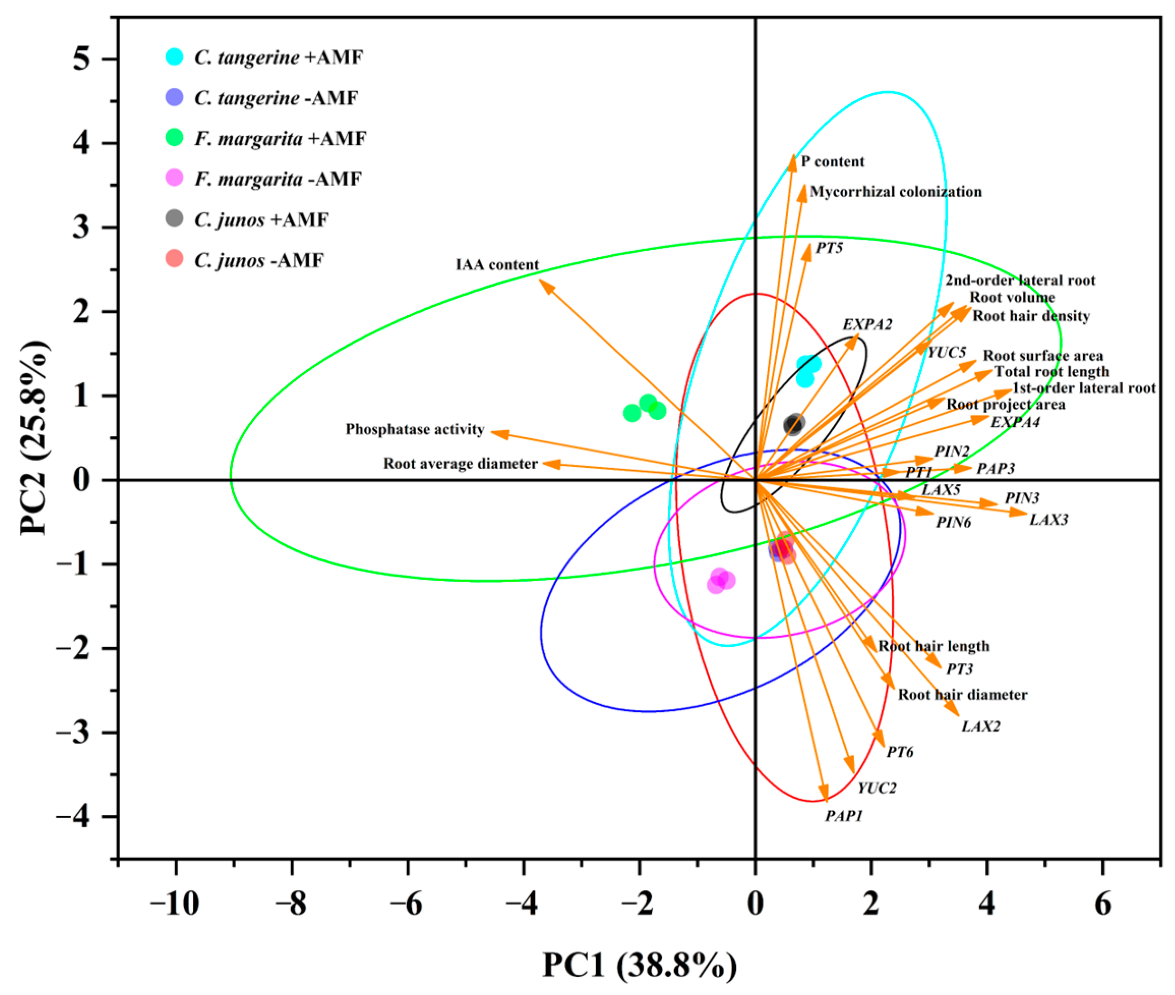 Horticulturae 10 00339 g008 Horticulturae 10 00339 g008