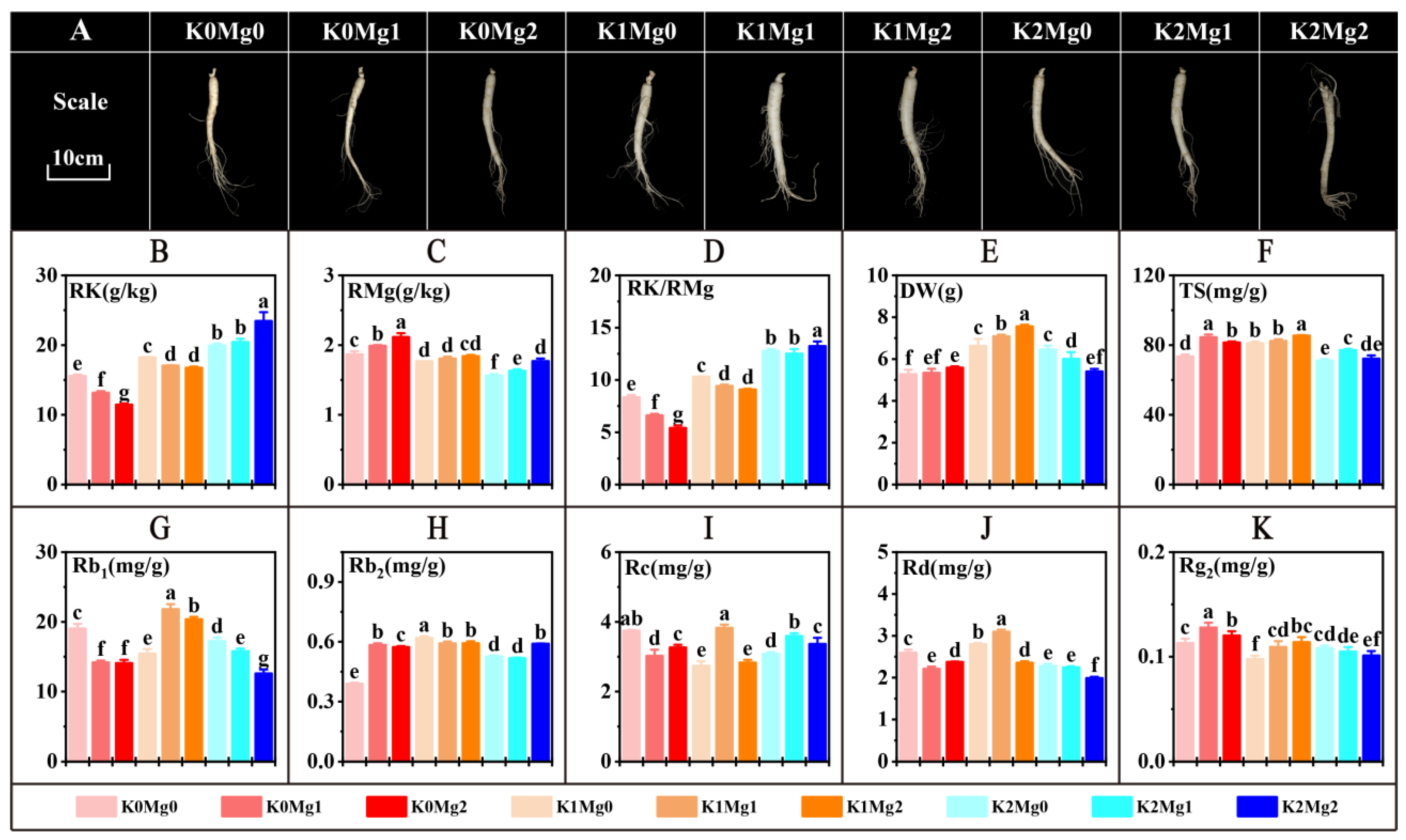 Horticulturae 10 00344 g006