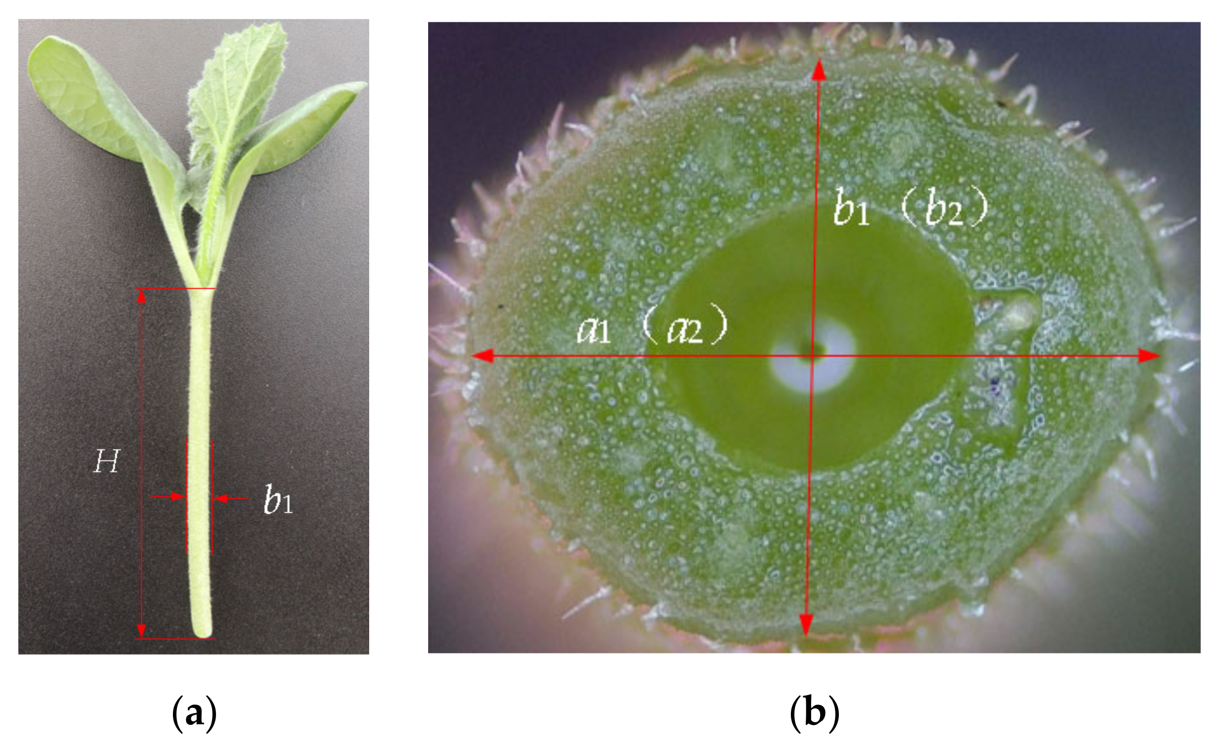 Horticulturae 10 00365 g009