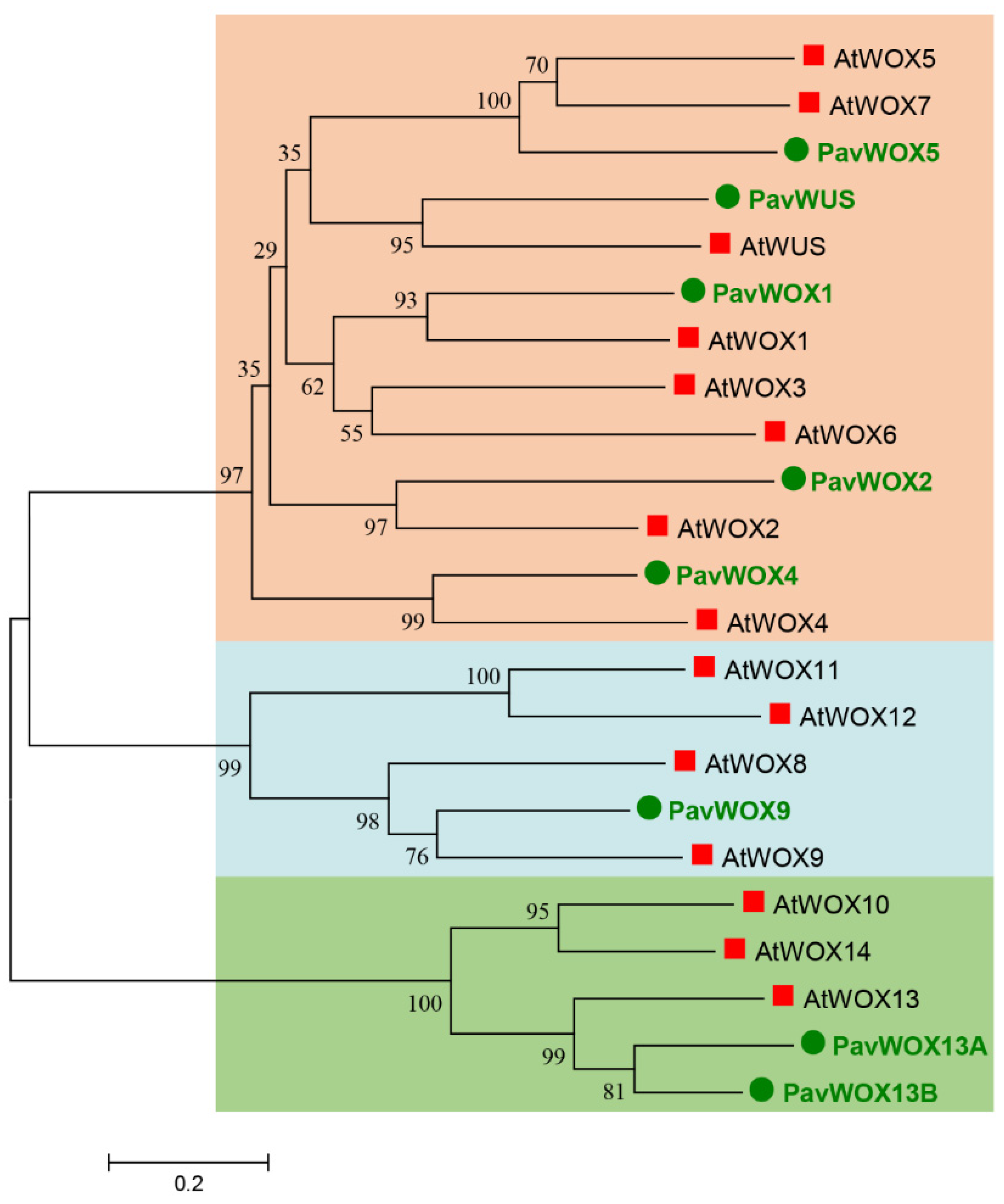 Horticulturae 10 00370 g002