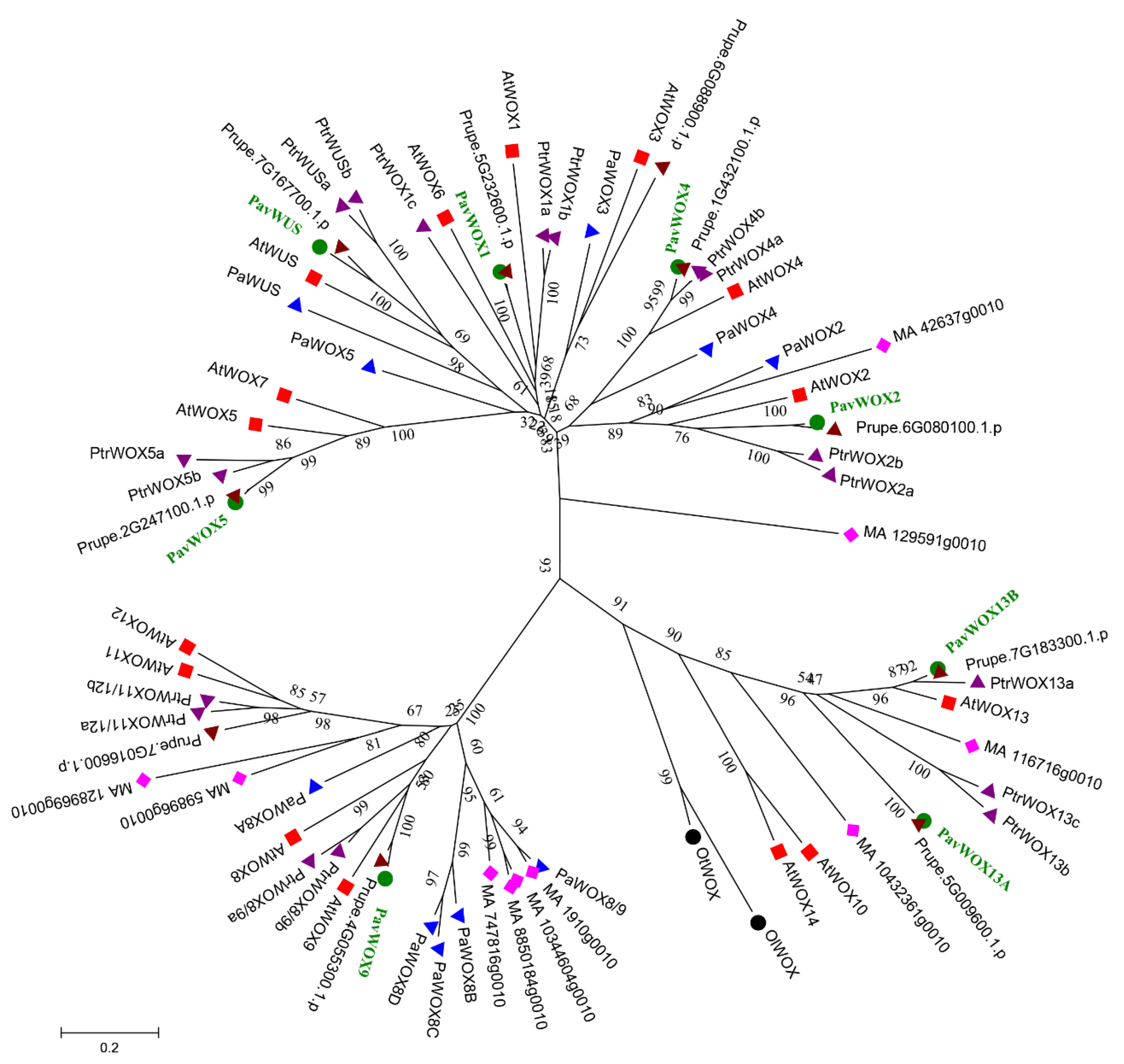 Horticulturae 10 00370 g003