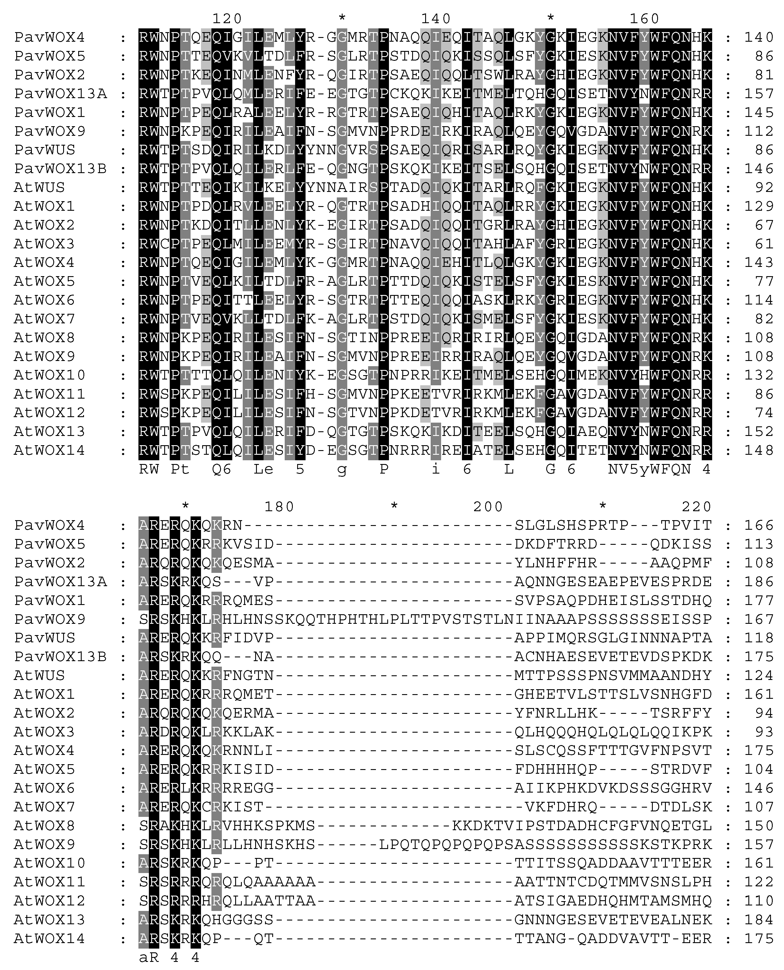 Horticulturae 10 00370 g005