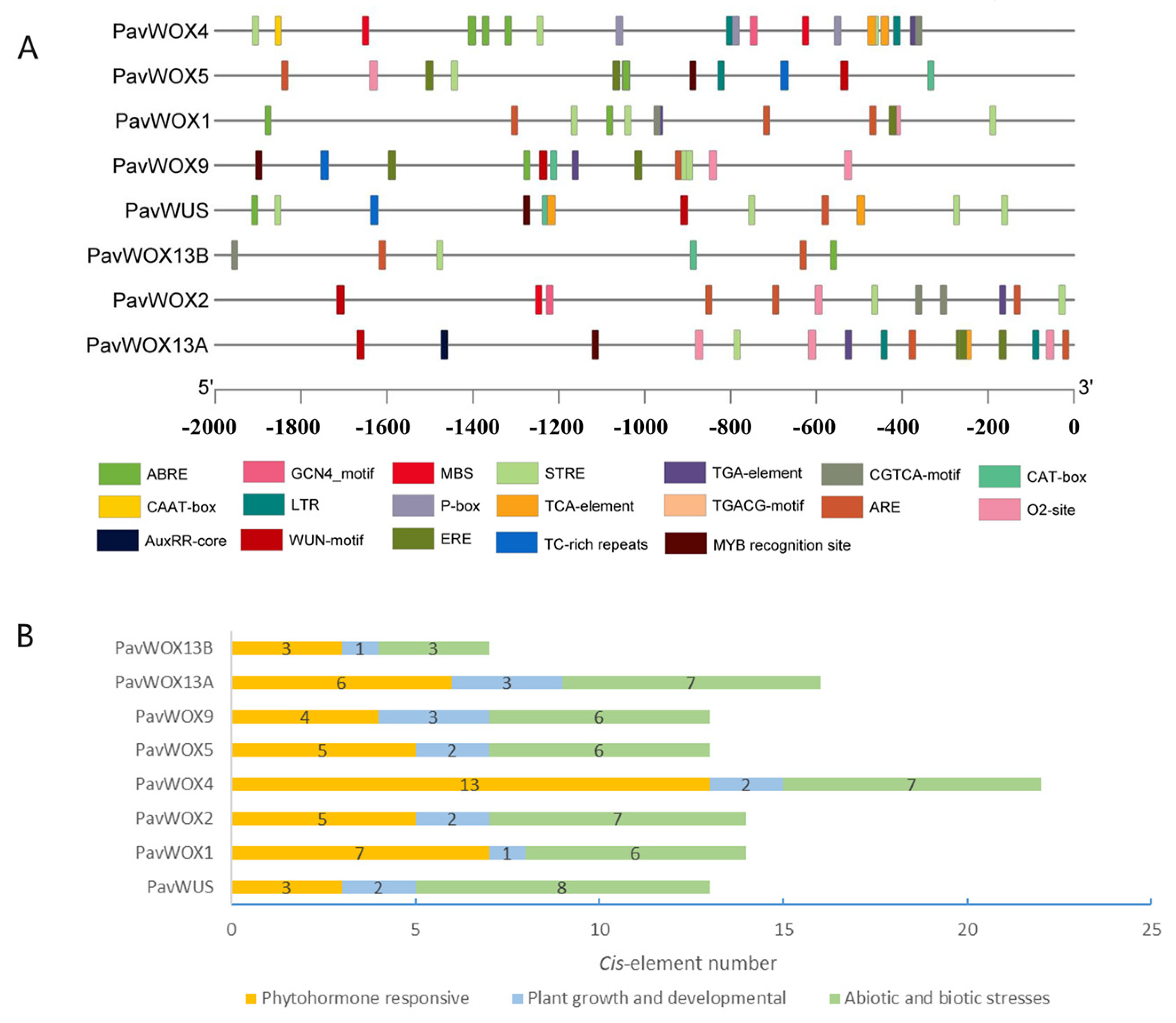 Horticulturae 10 00370 g006