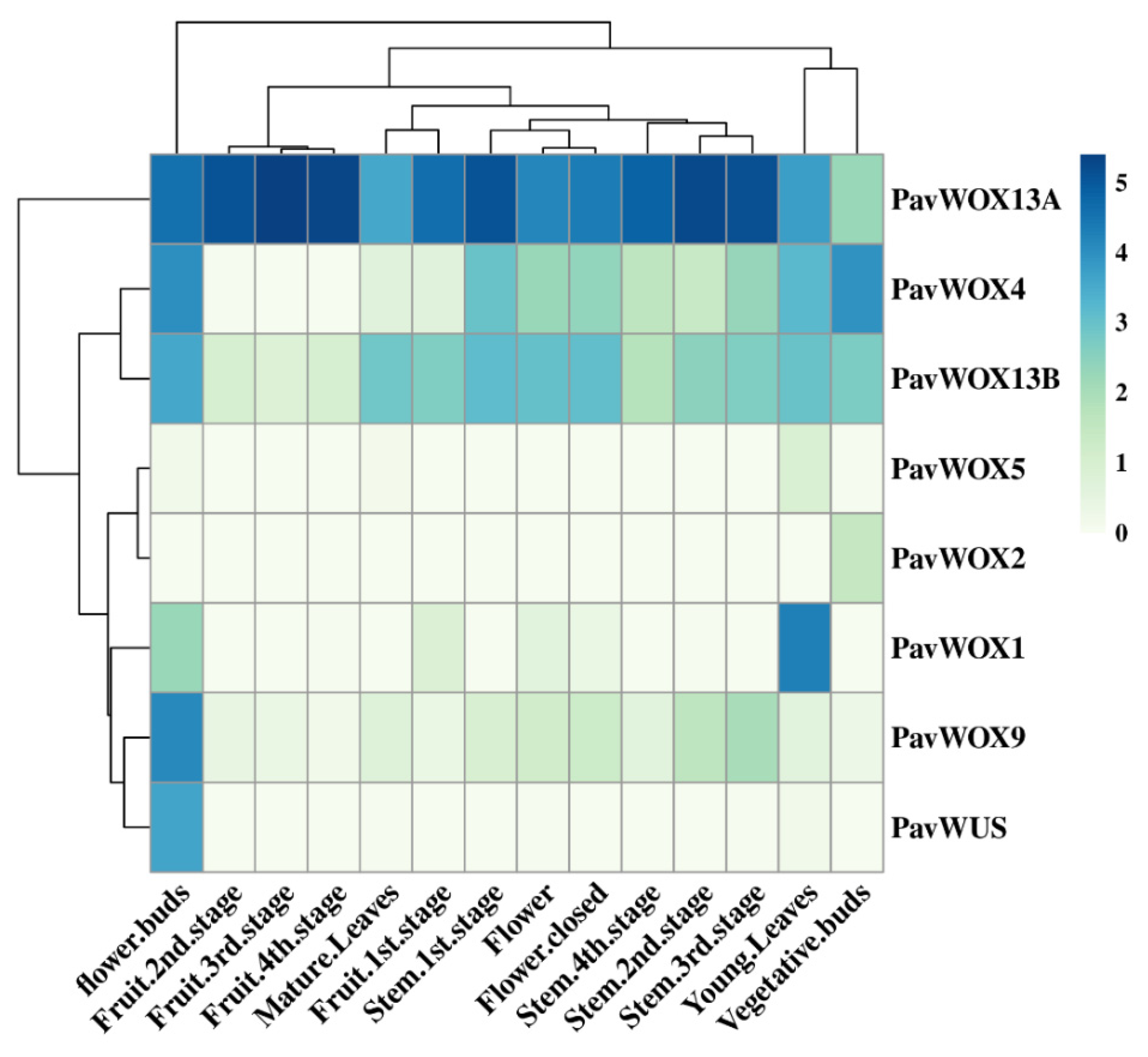 Horticulturae 10 00370 g007