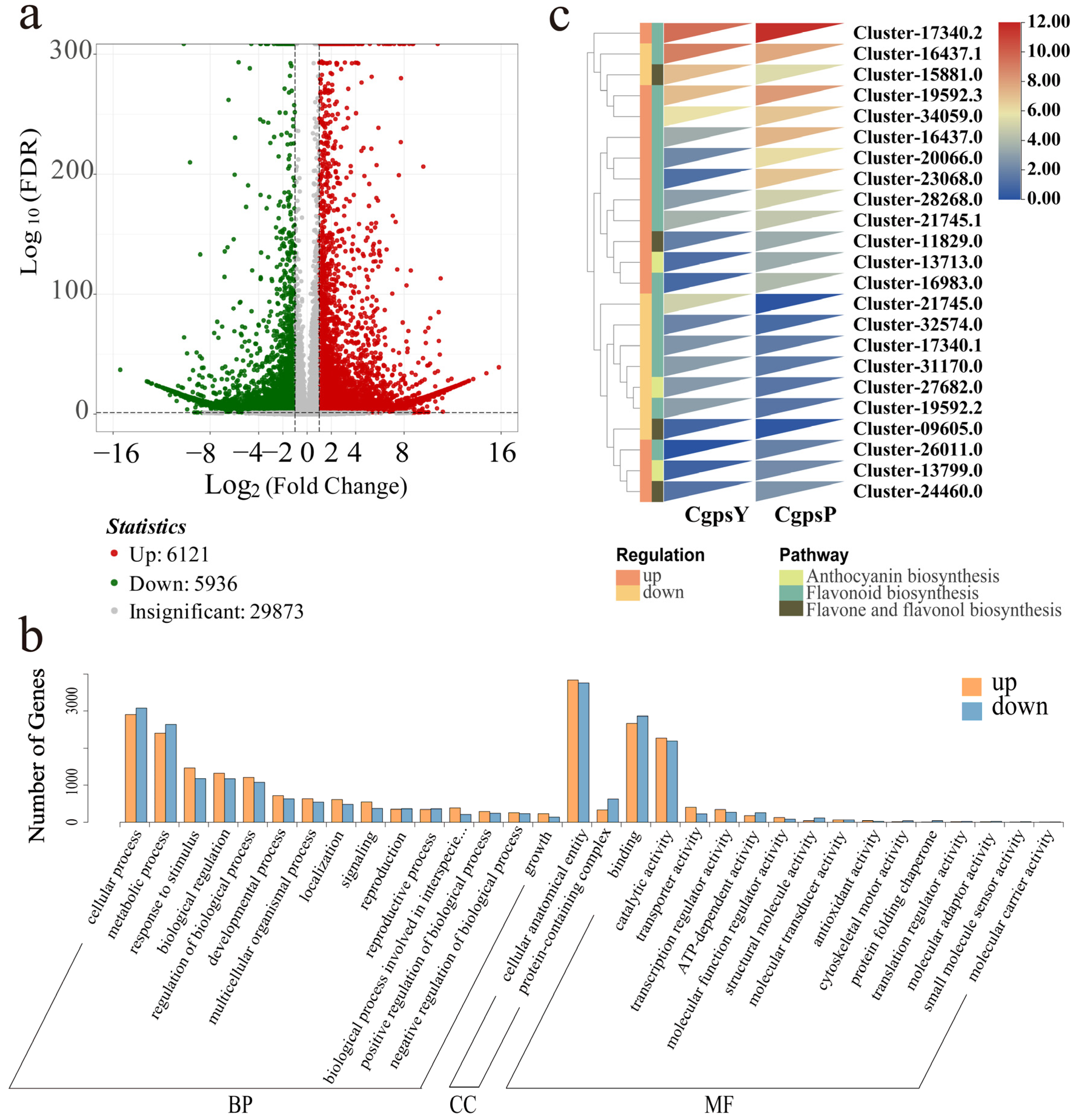 Horticulturae 10 00372 g004
