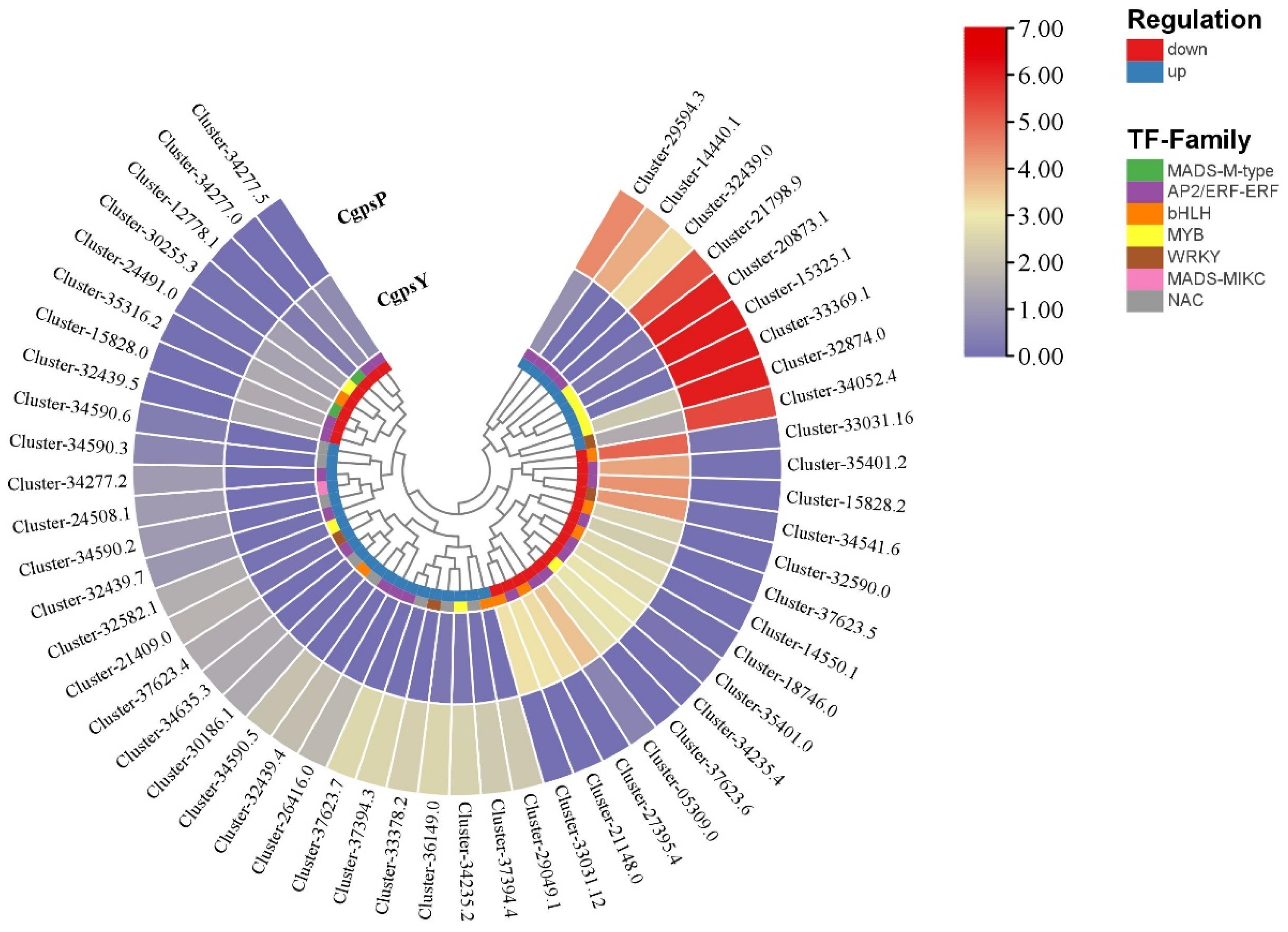 Horticulturae 10 00372 g005