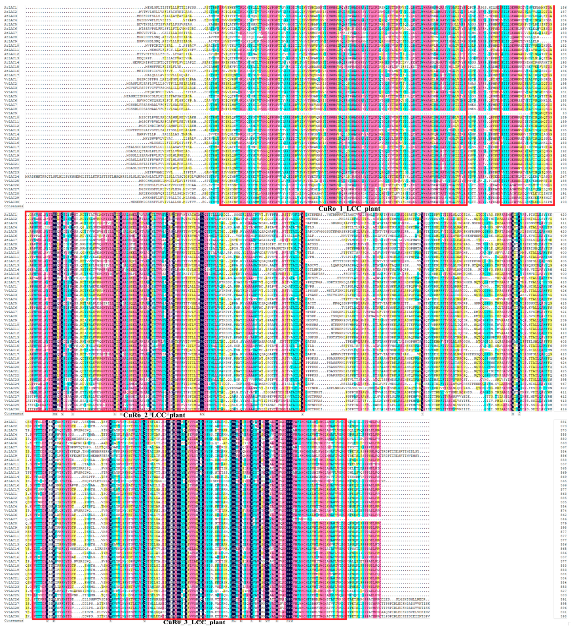 Horticulturae 10 00376 g005