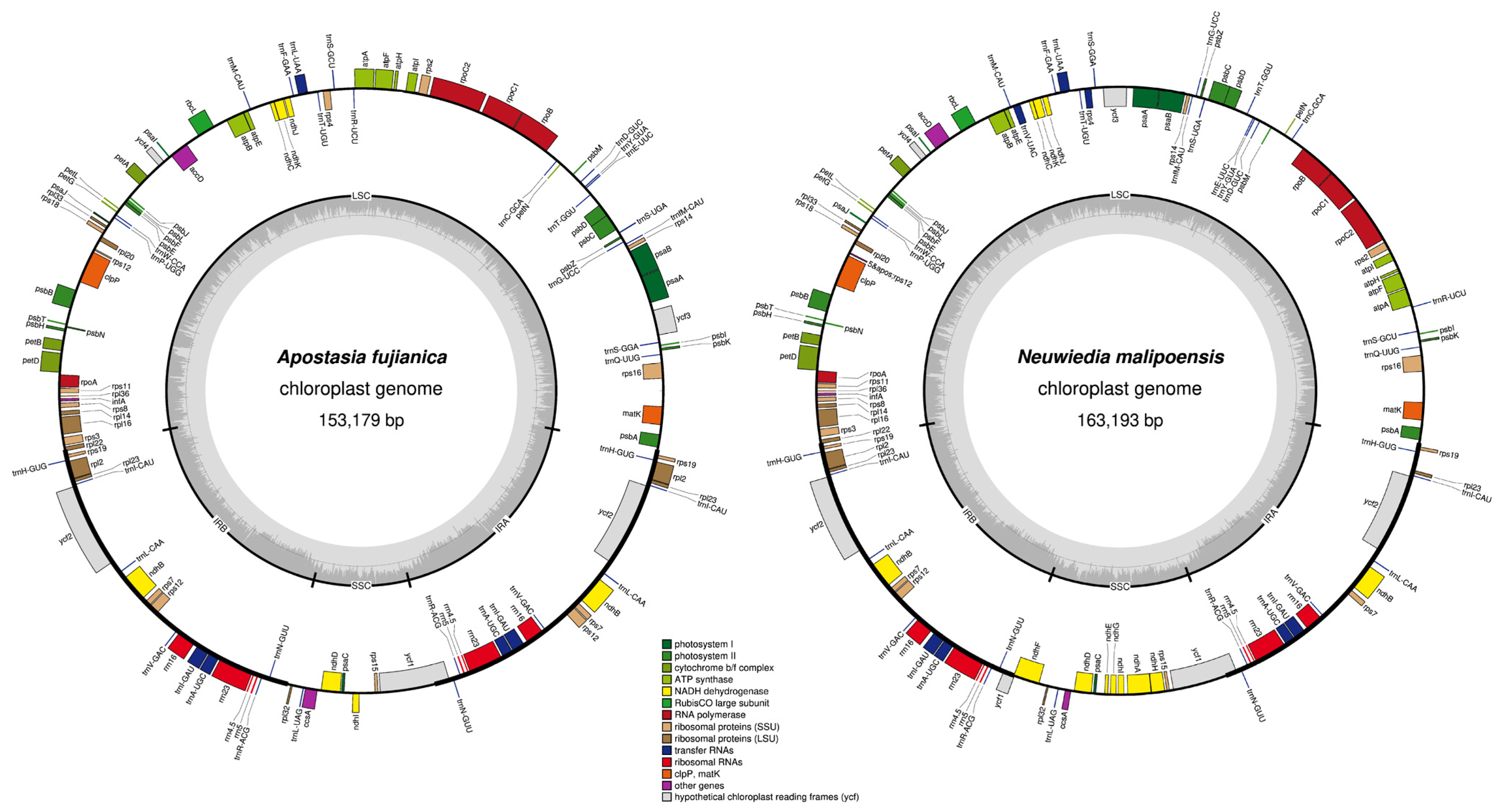Horticulturae 10 00383 g001