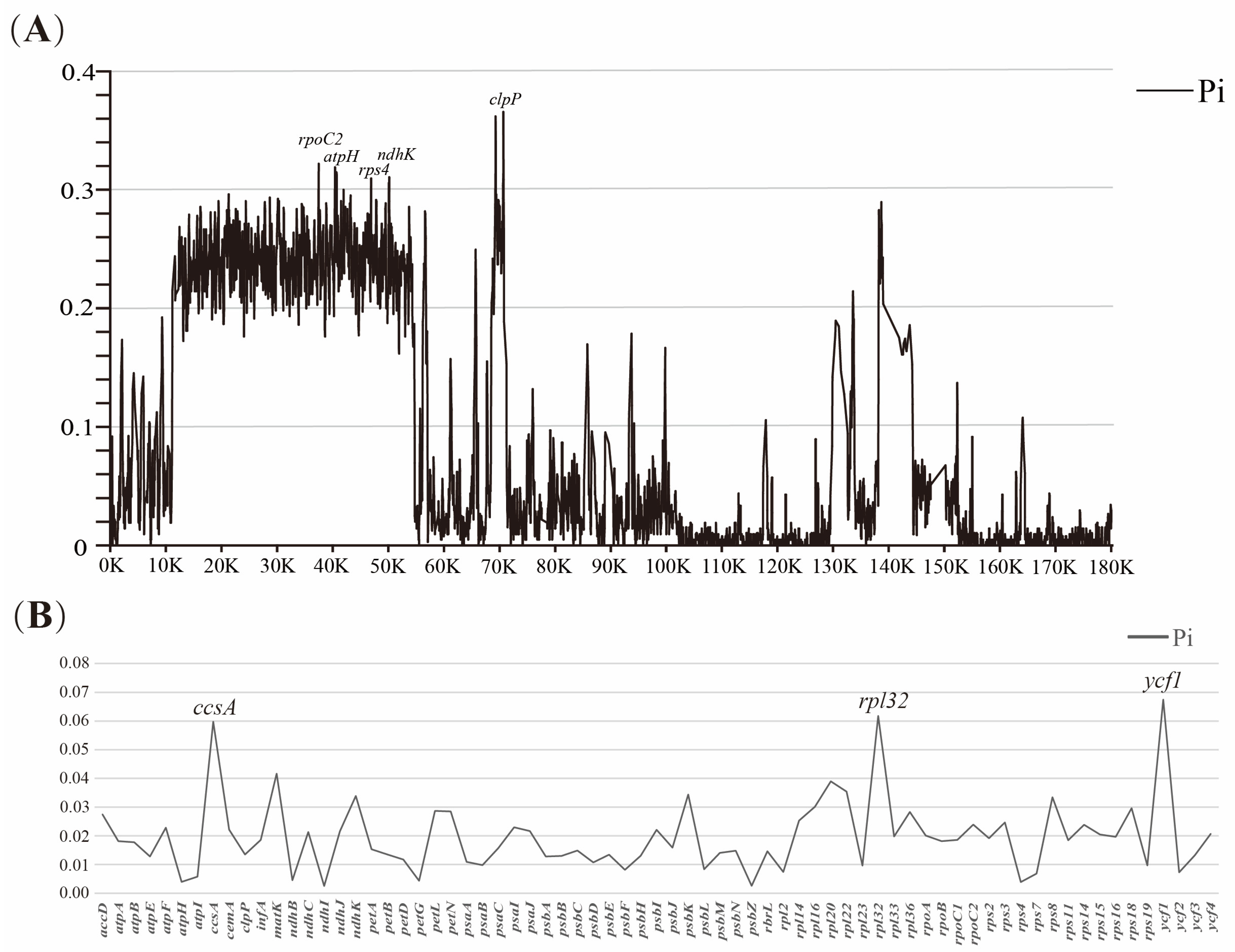Horticulturae 10 00383 g007