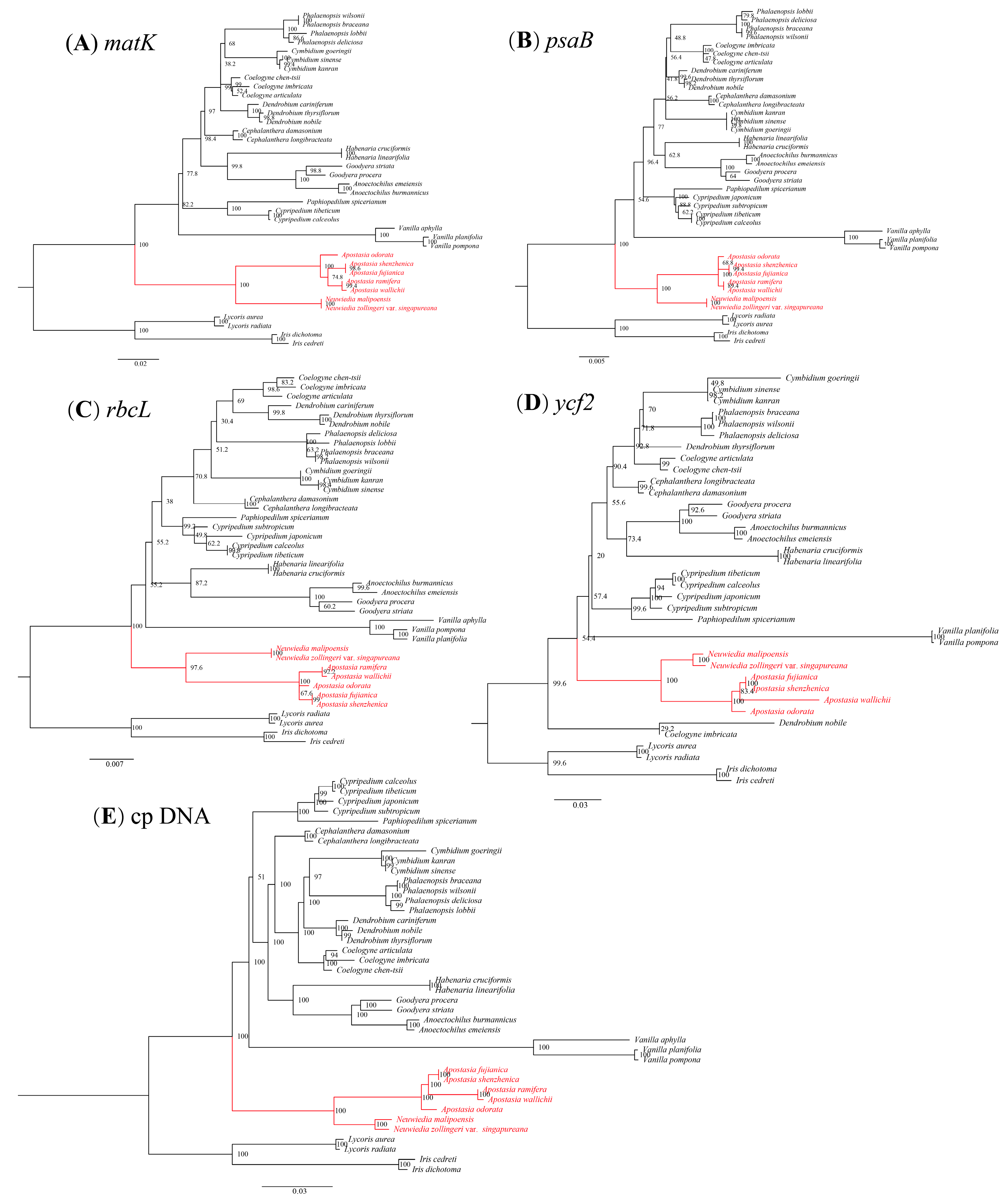 Horticulturae 10 00383 g009