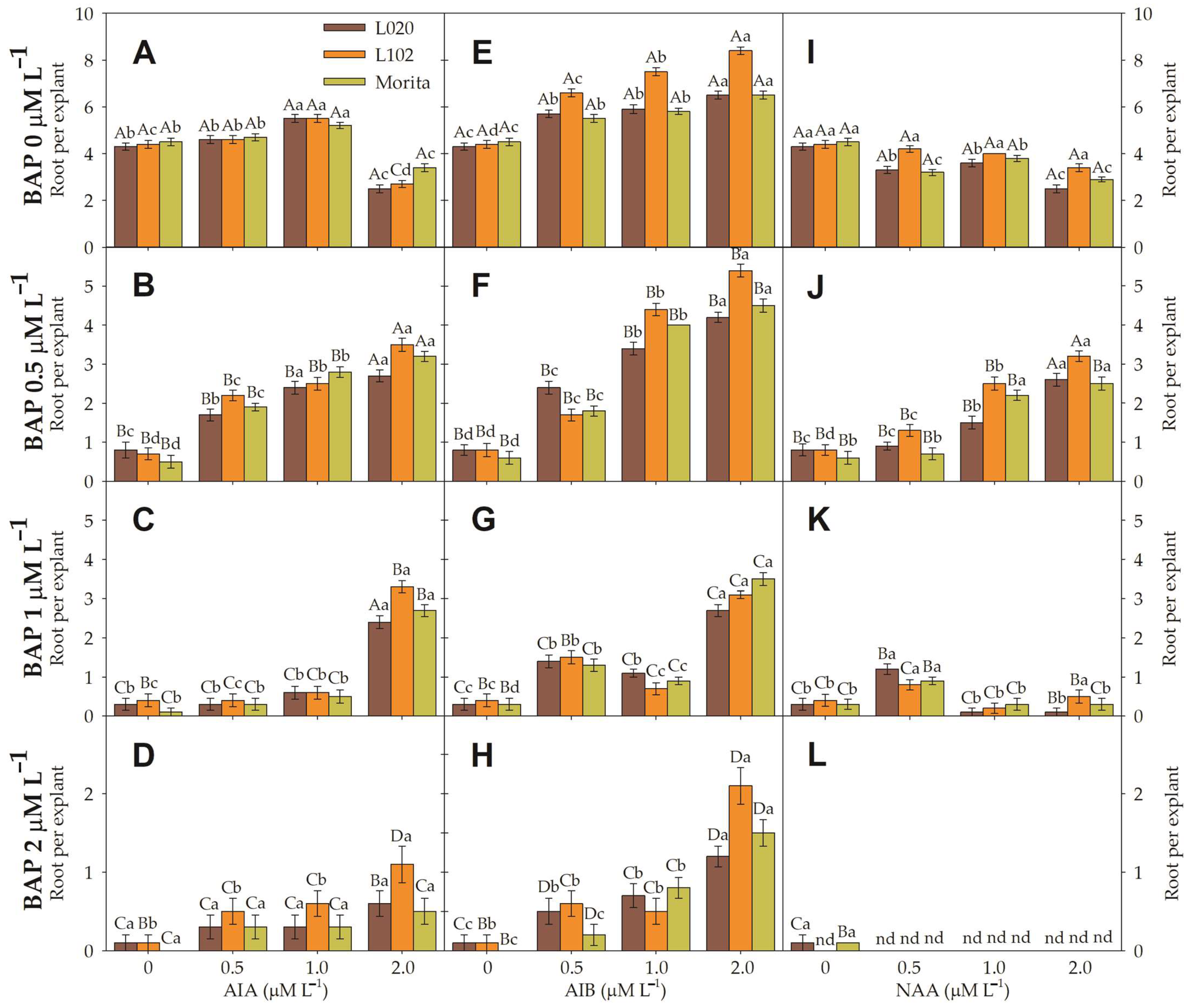 Horticulturae 10 00404 g004