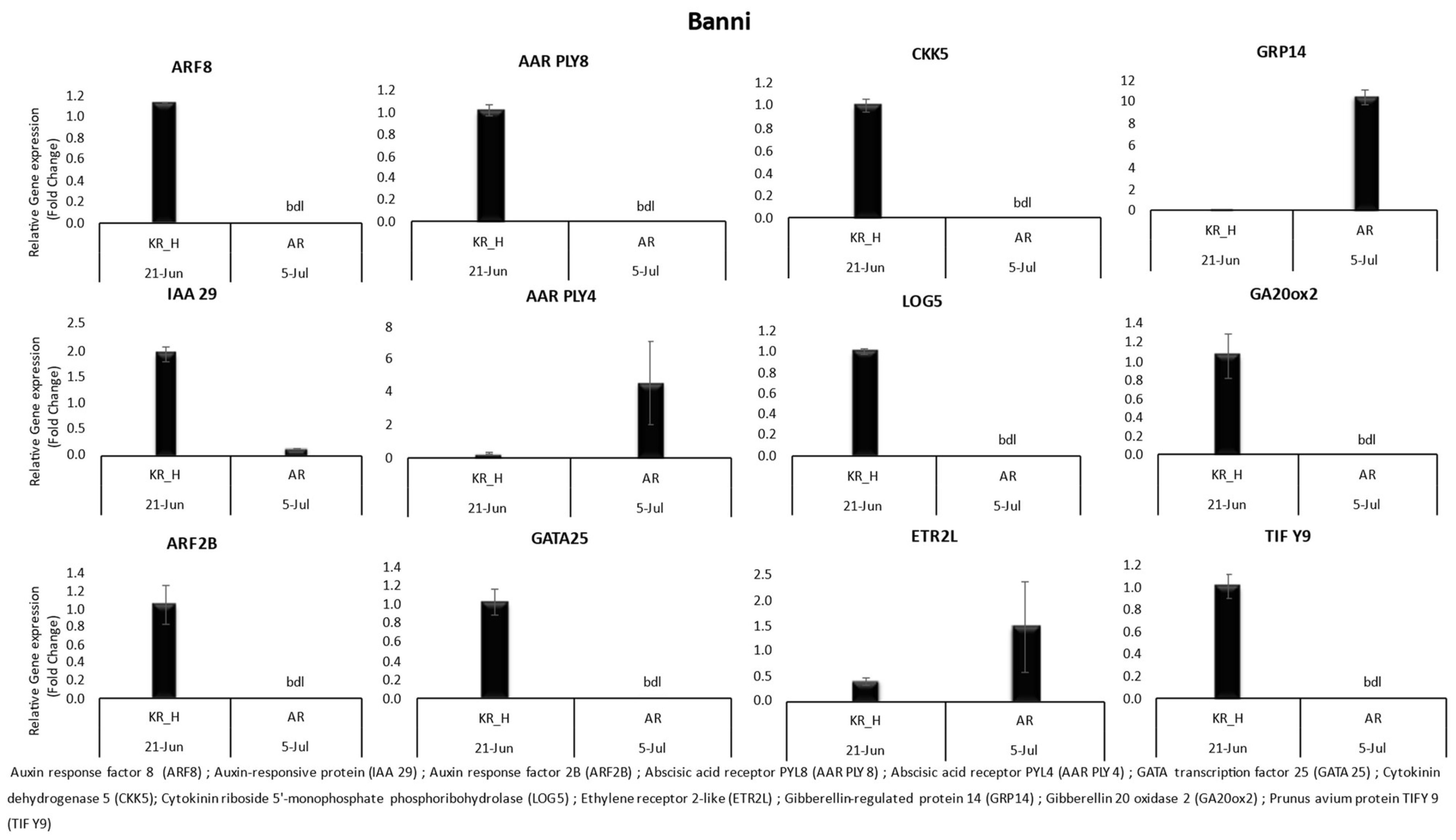 Horticulturae 10 00408 g002