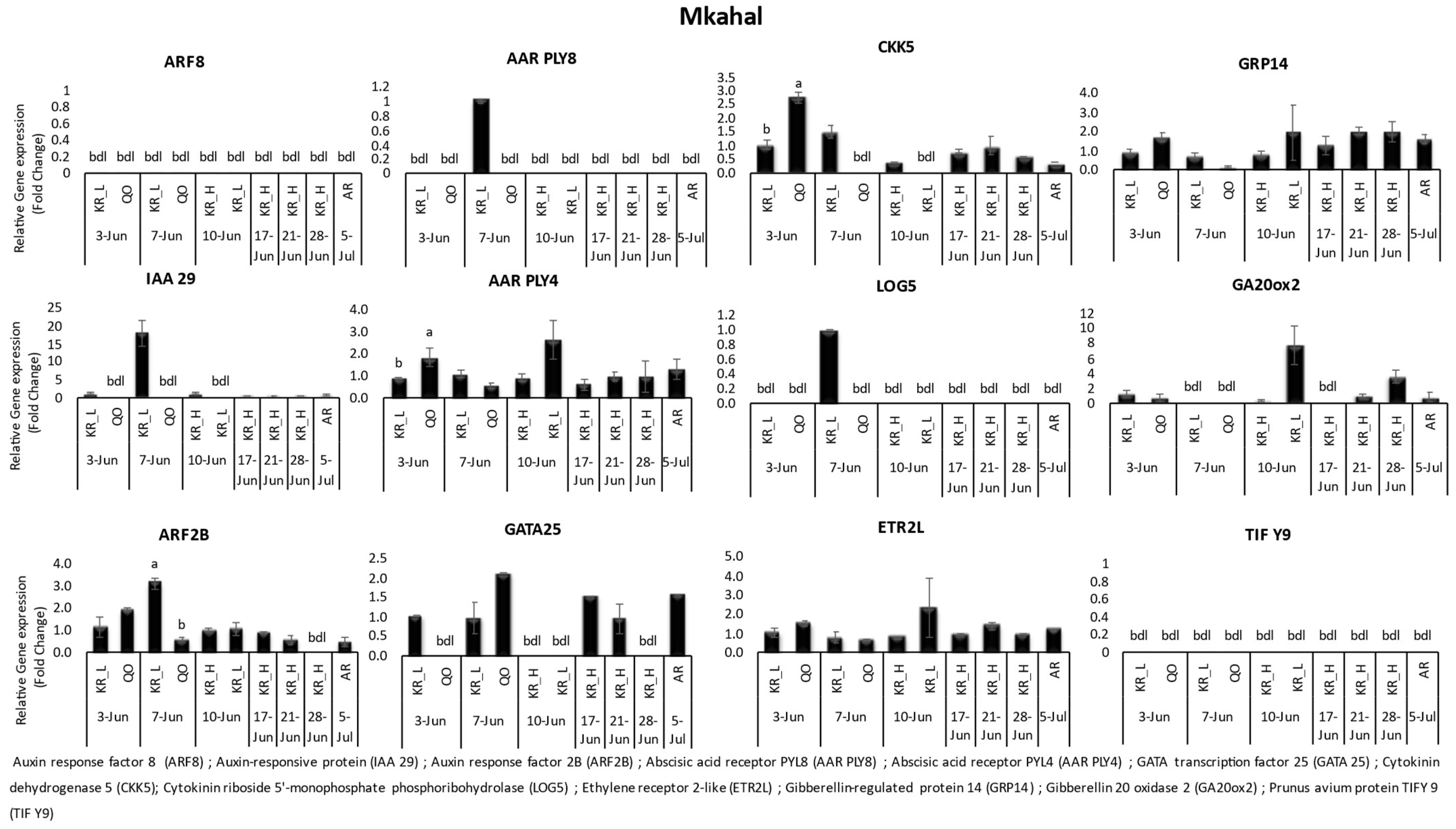 Horticulturae 10 00408 g004