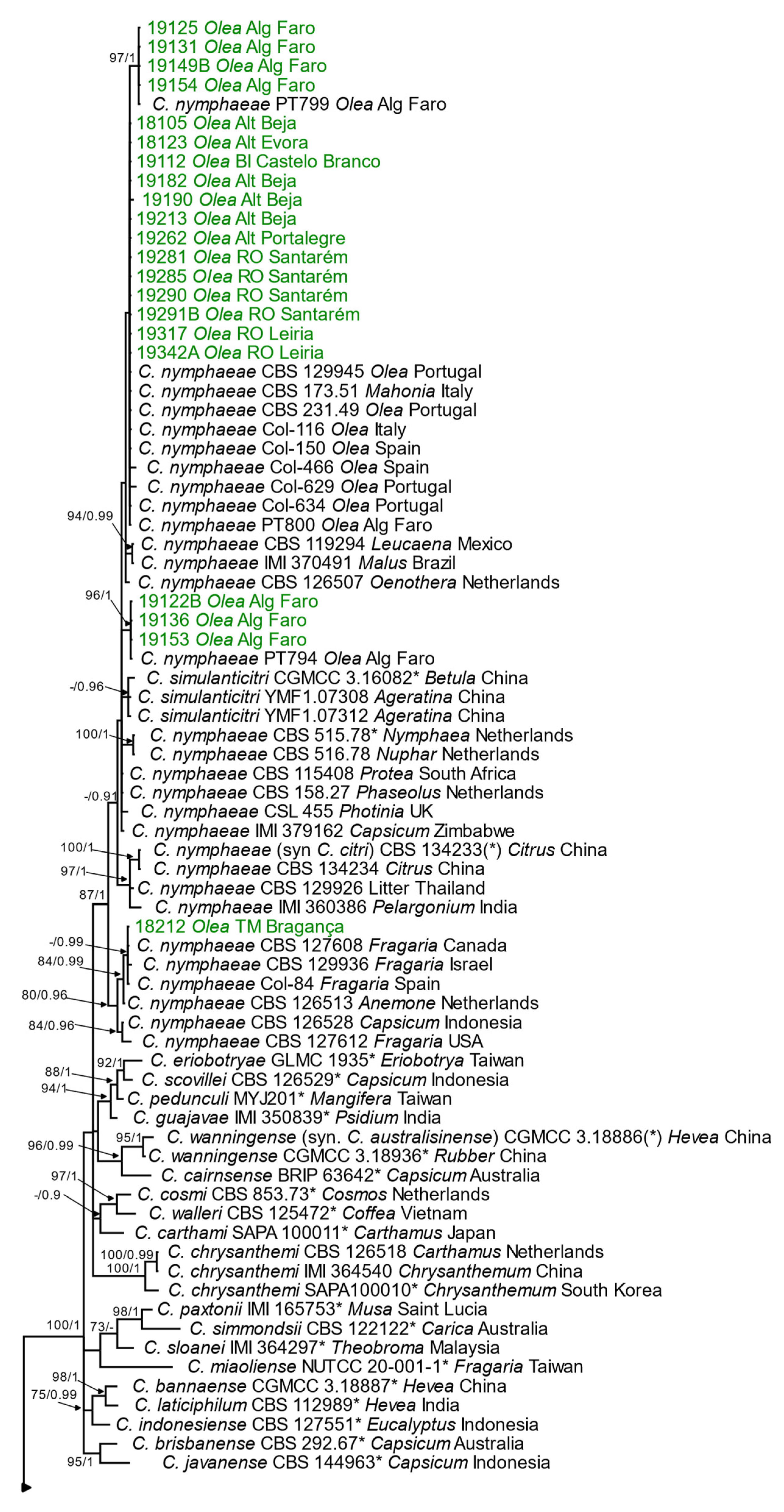 Horticulturae 10 00434 g004a