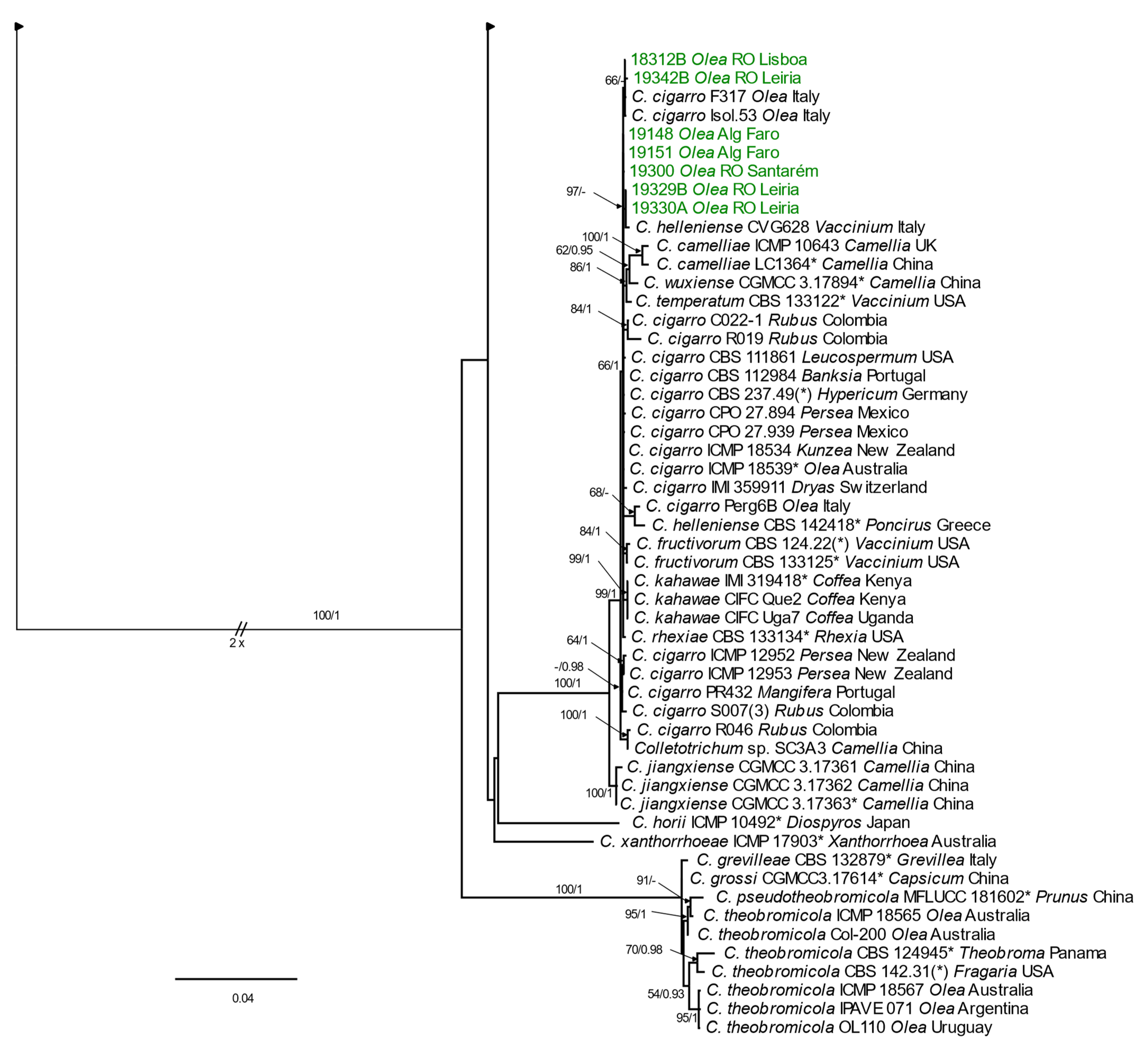 Horticulturae 10 00434 g005b