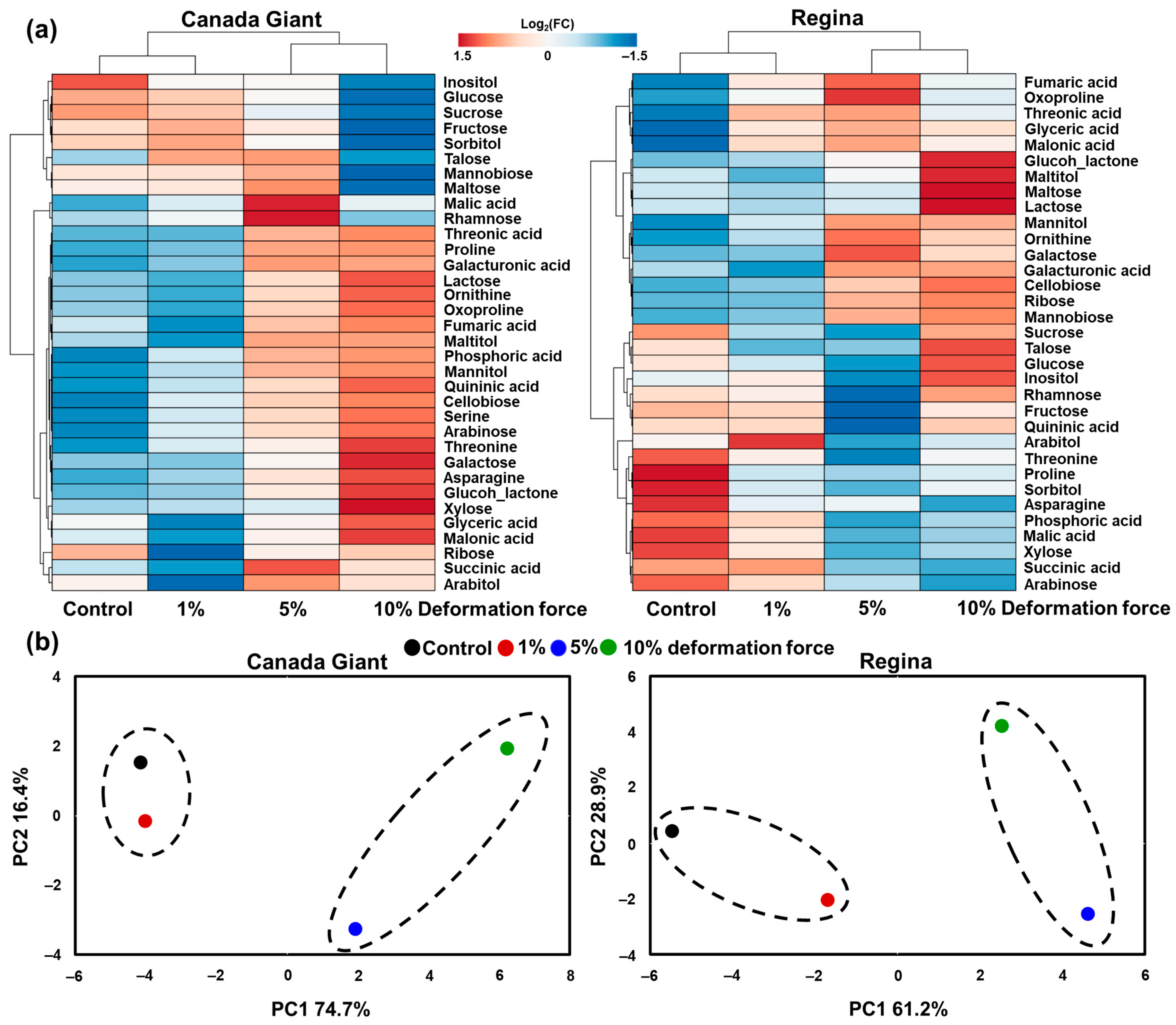 Horticulturae 10 00435 g004